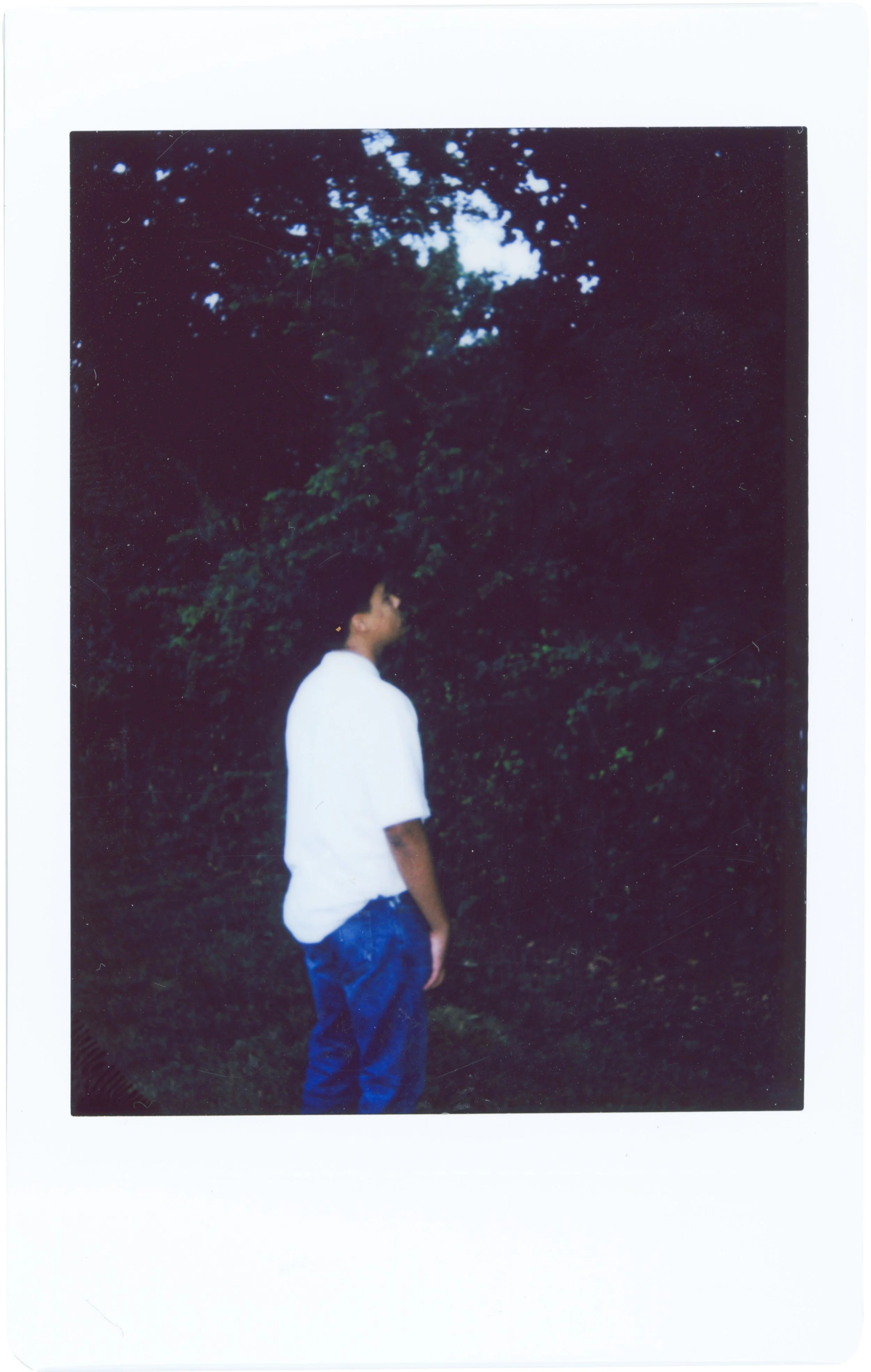 individual photos layers_0006_G2.jpg