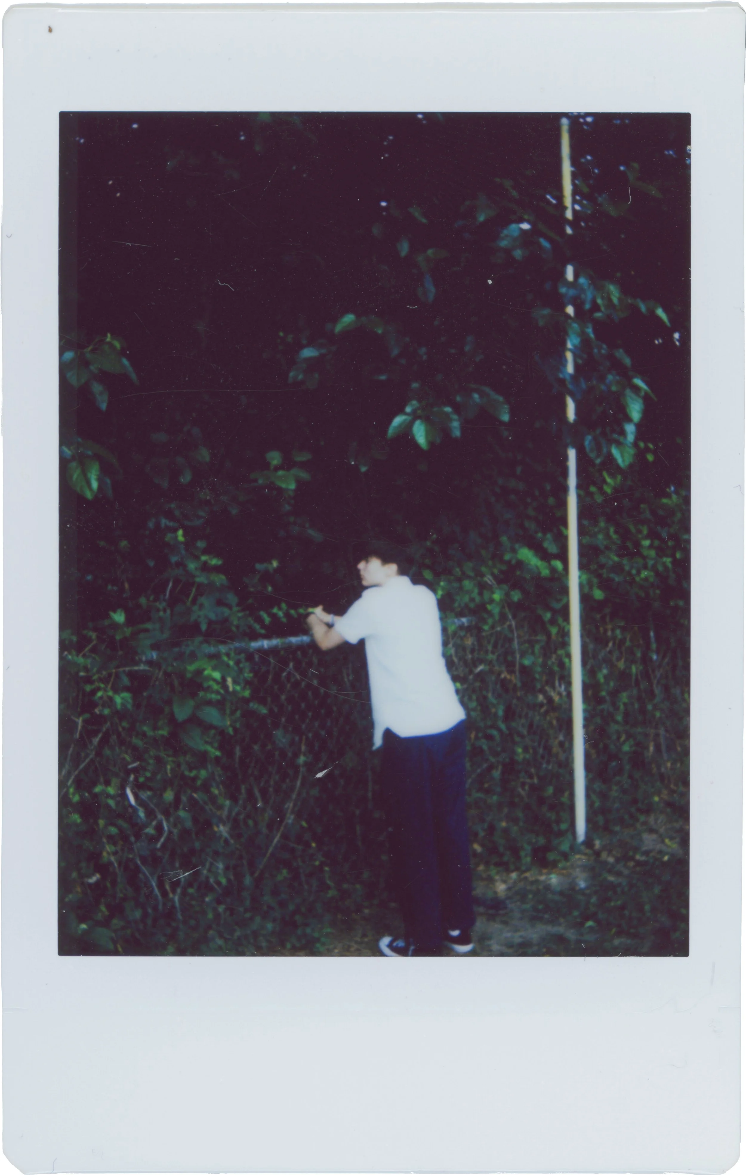 individual photos layers_0013_t3.jpg