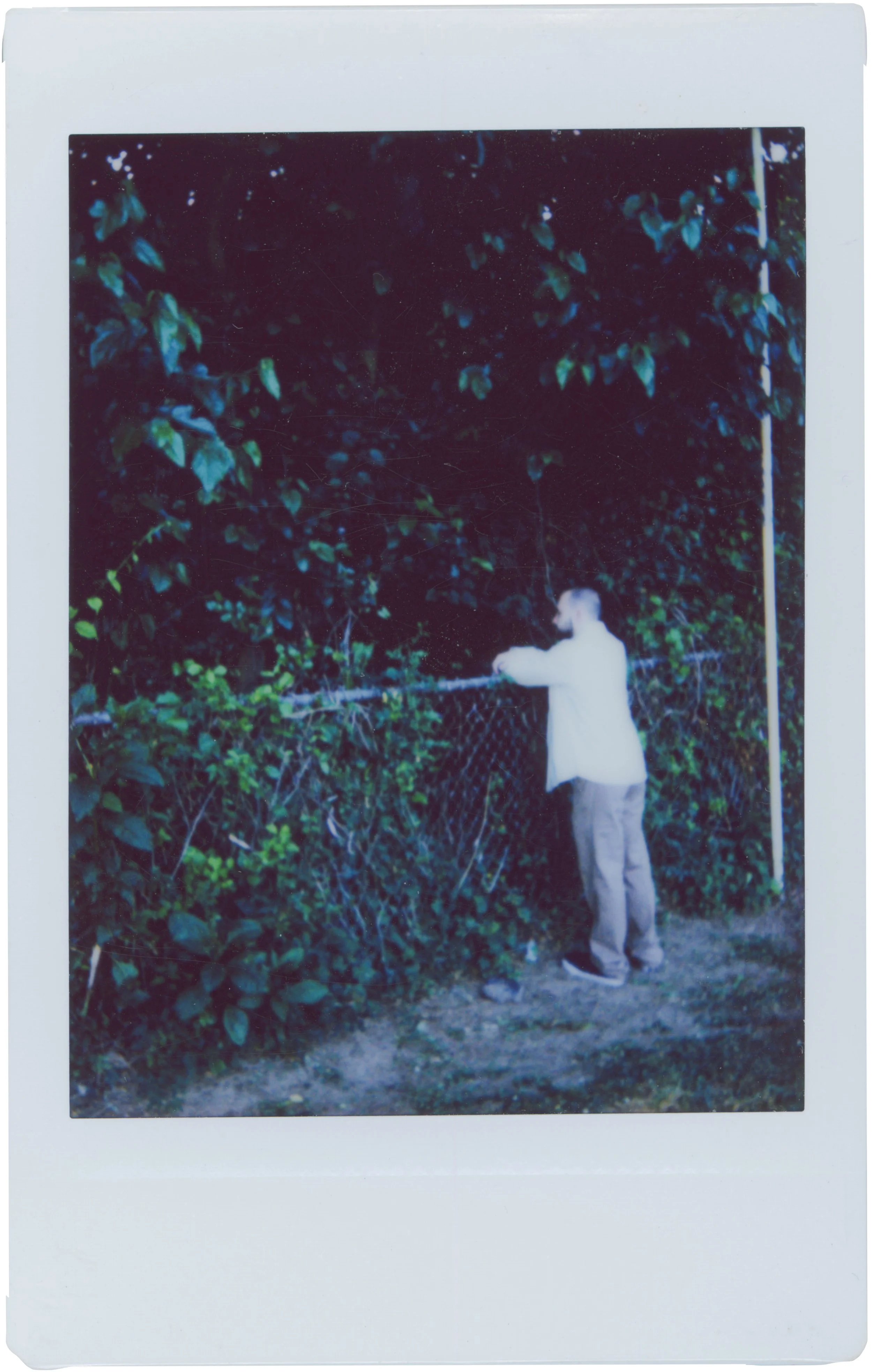 individual photos layers_0017_J3.jpg