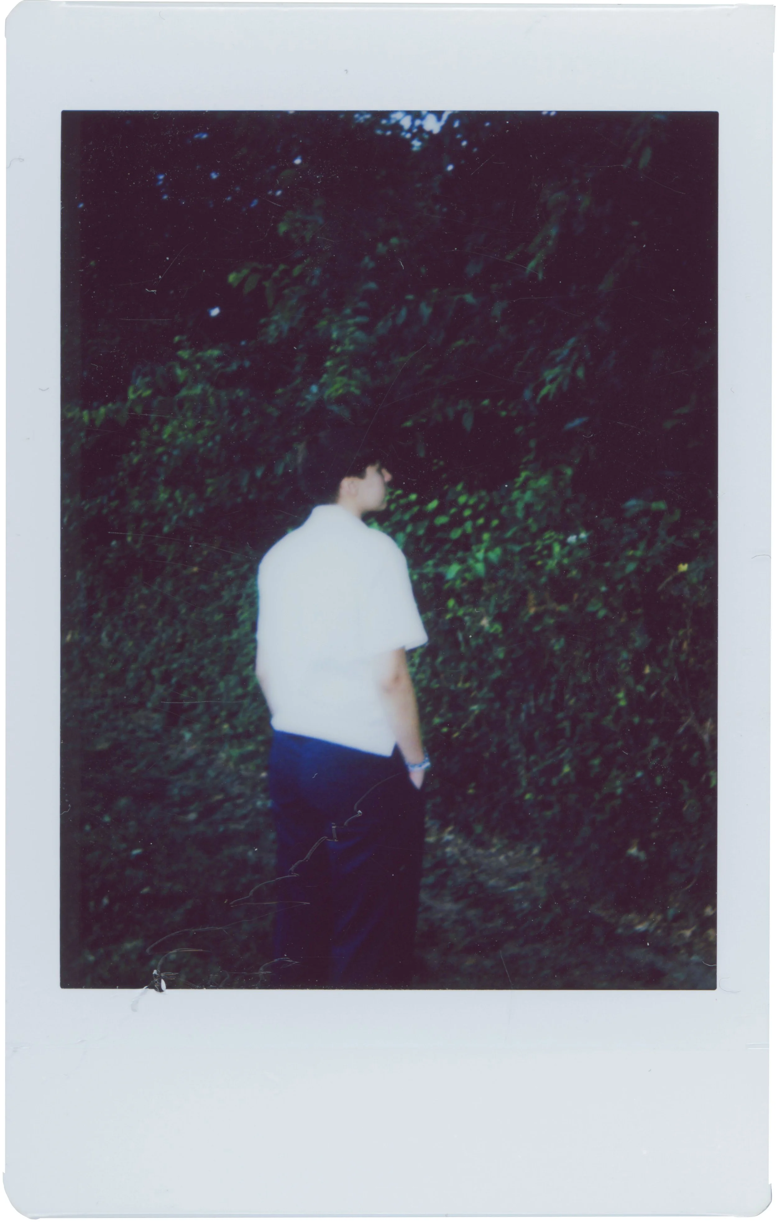 individual photos layers_0014_t2.jpg