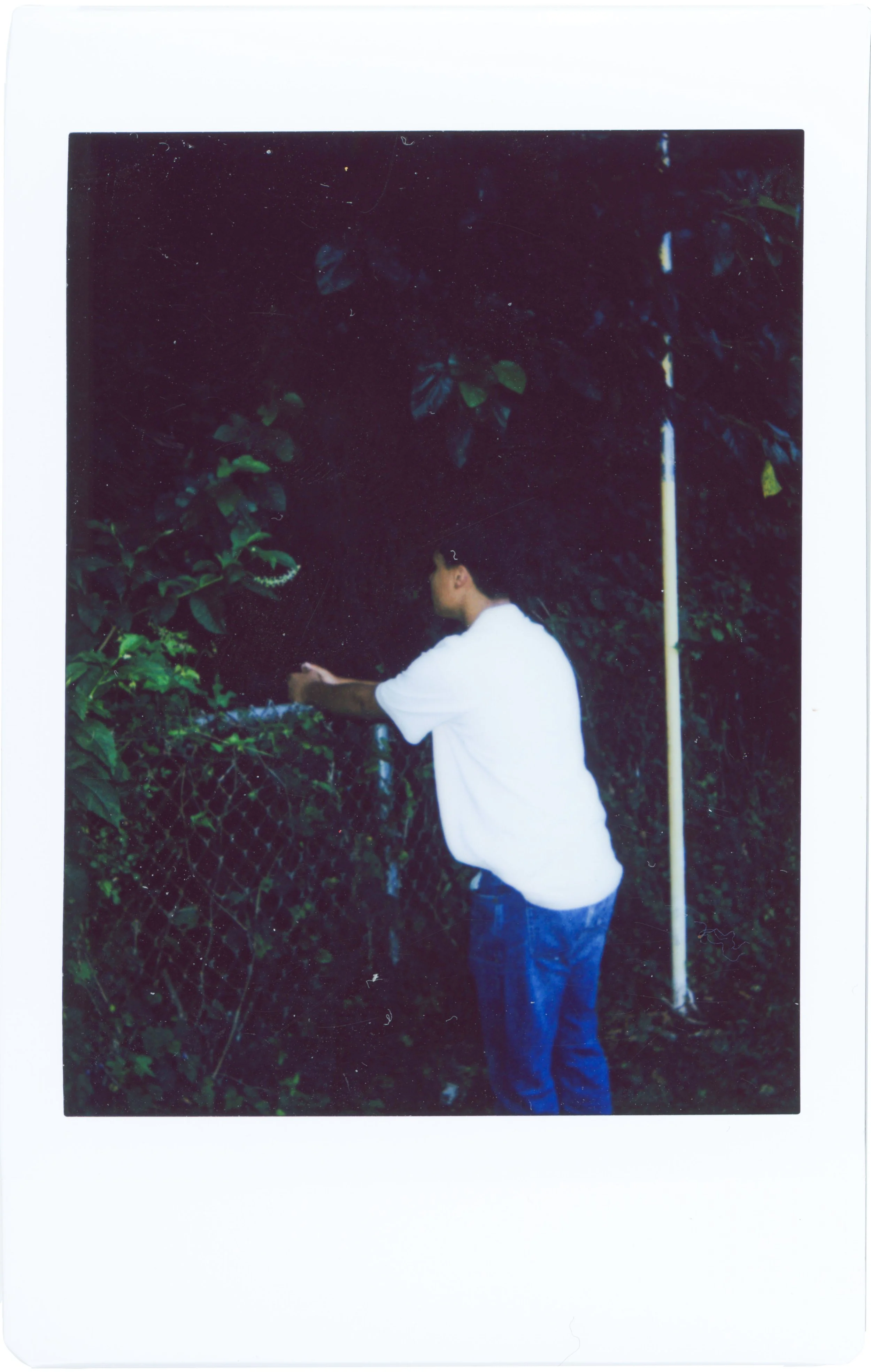 individual photos layers_0005_G3.jpg