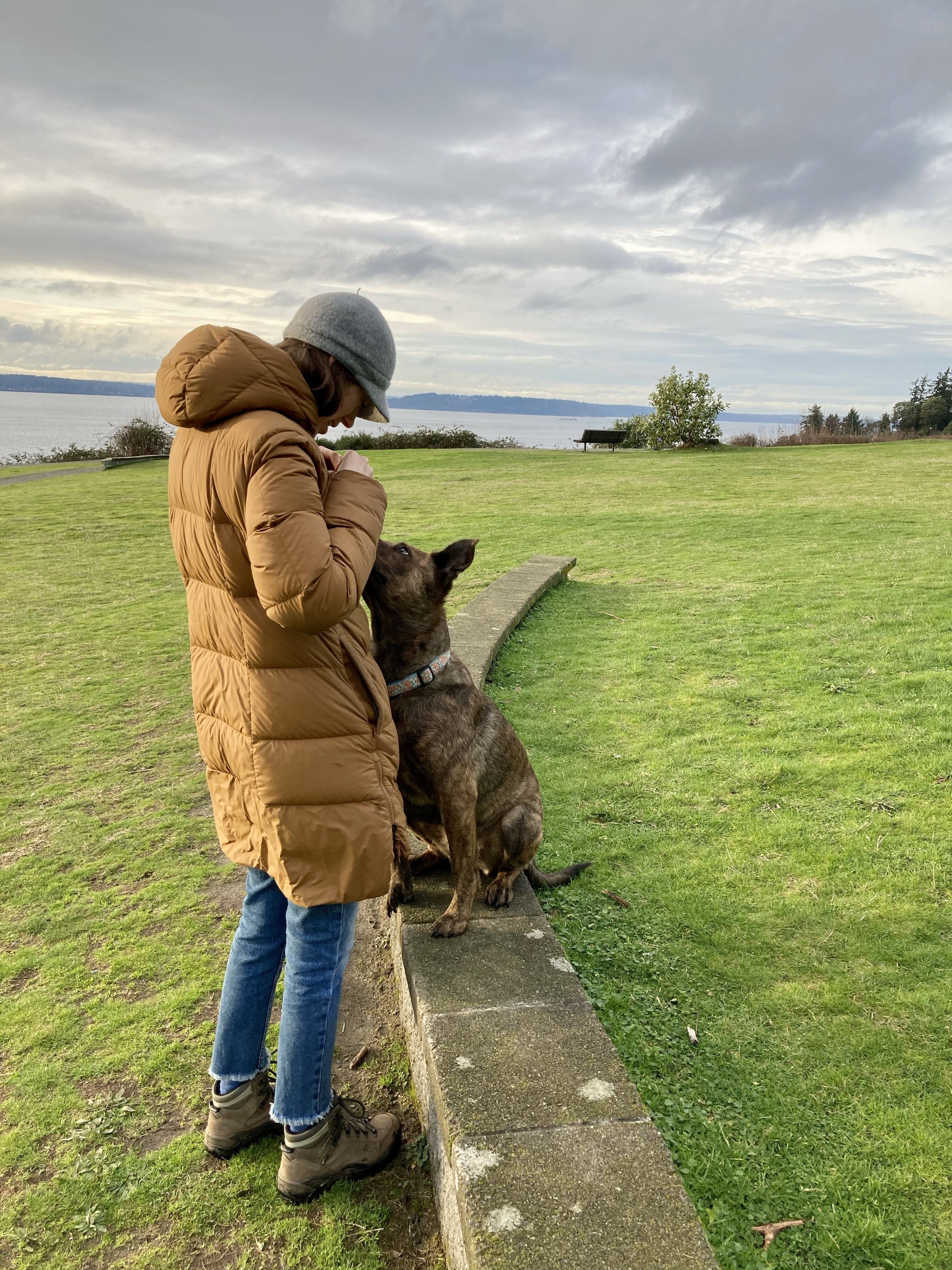 Reactive dog training in Seattle