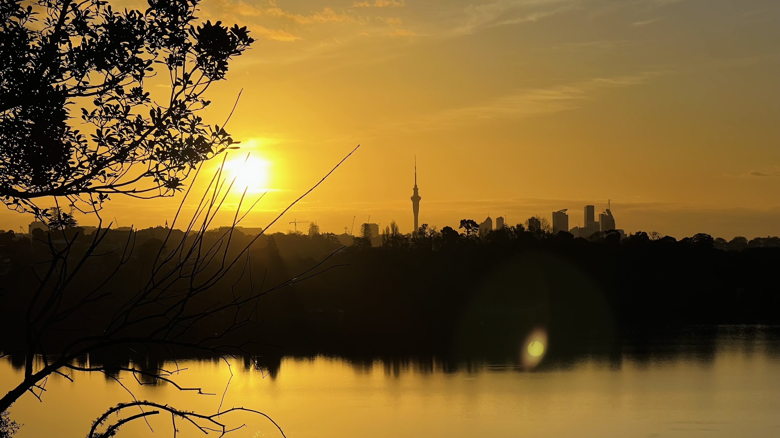 Property Guidance: NZ OIO Visa Framework