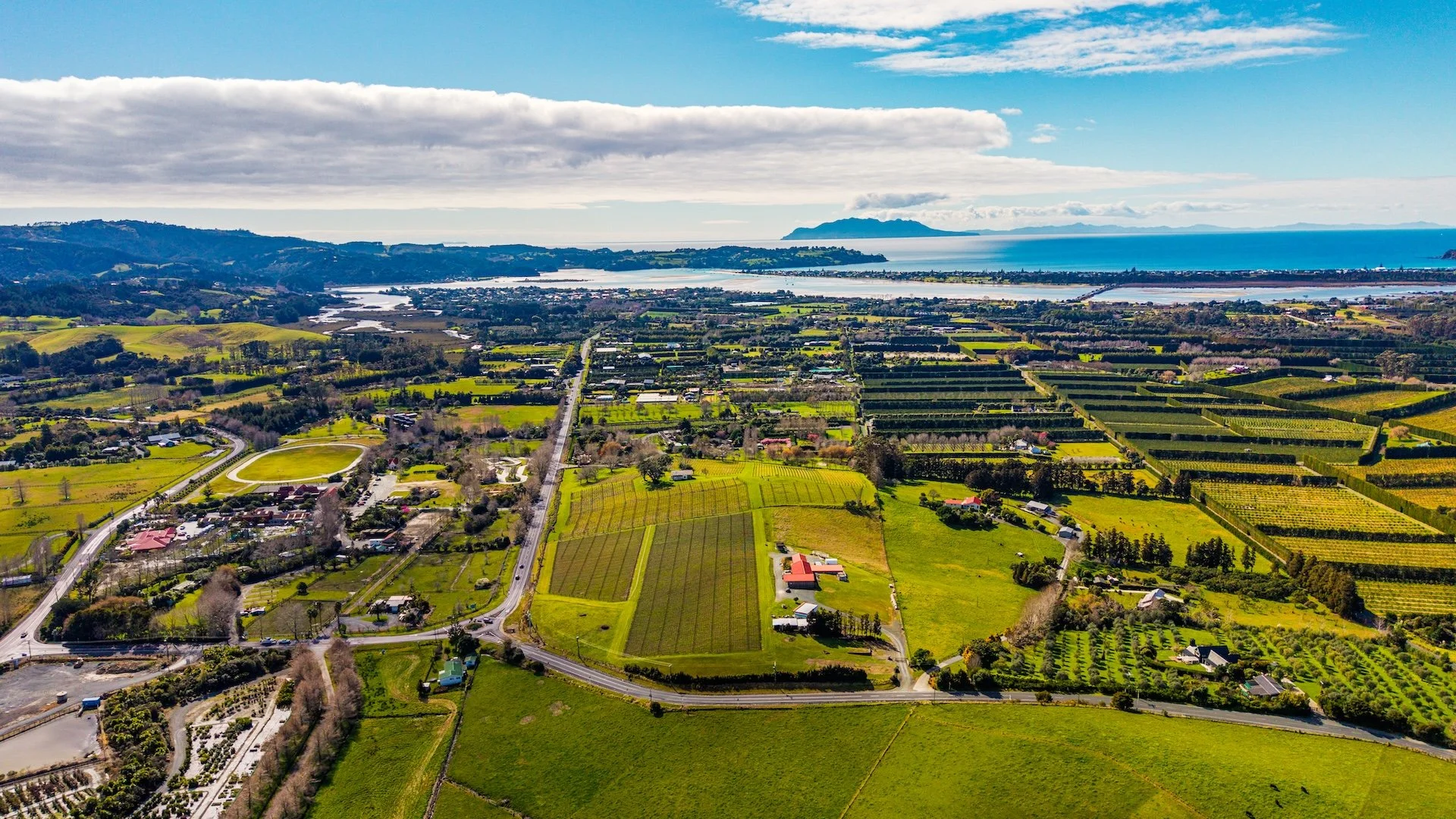 Sculptureum & Oak Hill Vineyard