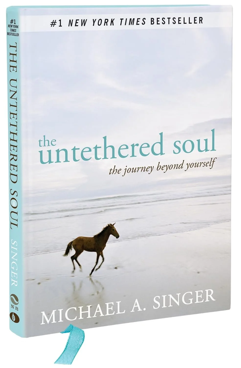 The Untethered SouL: the Journey Beyond Yourself