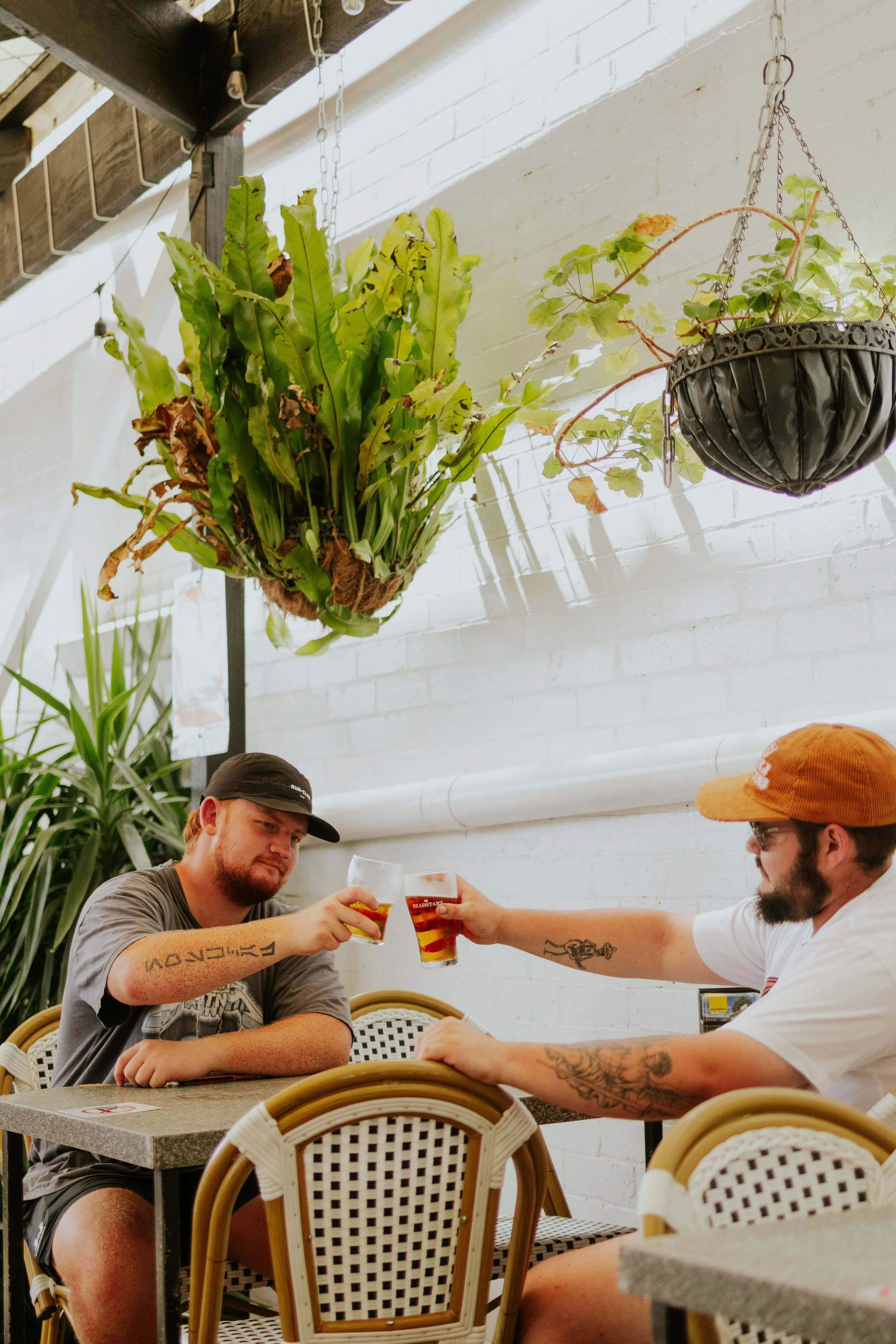 Two young men sitting at a table in a casual dining setting, clinking glasses of beer in a toast. The man on the left has a beard, a black cap, a grey t-shirt, and tattoos on his arms. The man on the right has a beard, glasses, a brown cap, and visible tattoos on his arms. There is a large hanging plant above them, and them stars against a white brick wall.