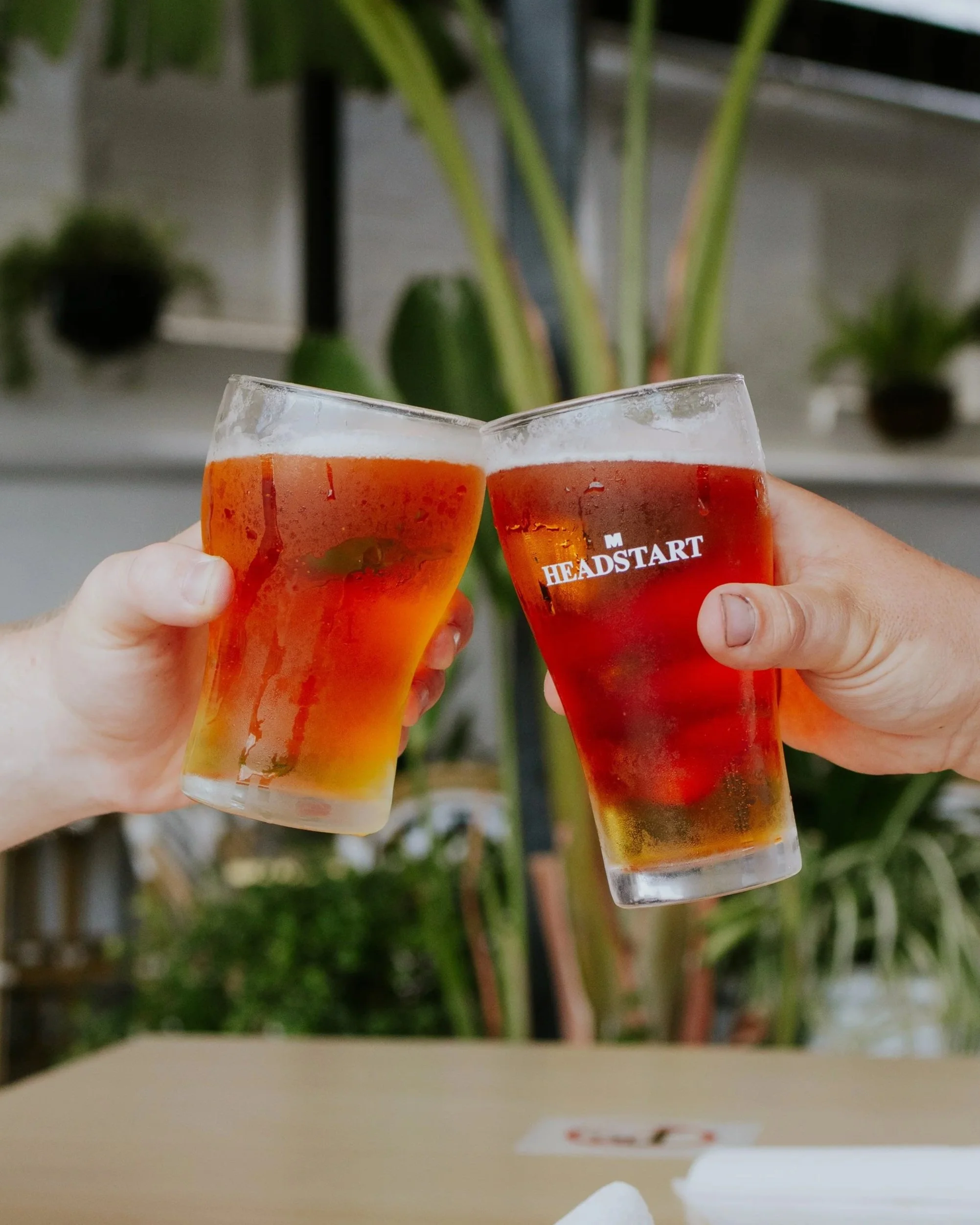 Two hands hold glasses of beer toasting, with condensation on the glasses, behind a table with a blurred background of potted plants and greenery.