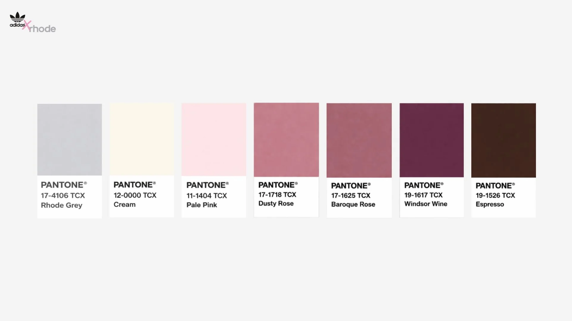 Color Palette.jpg