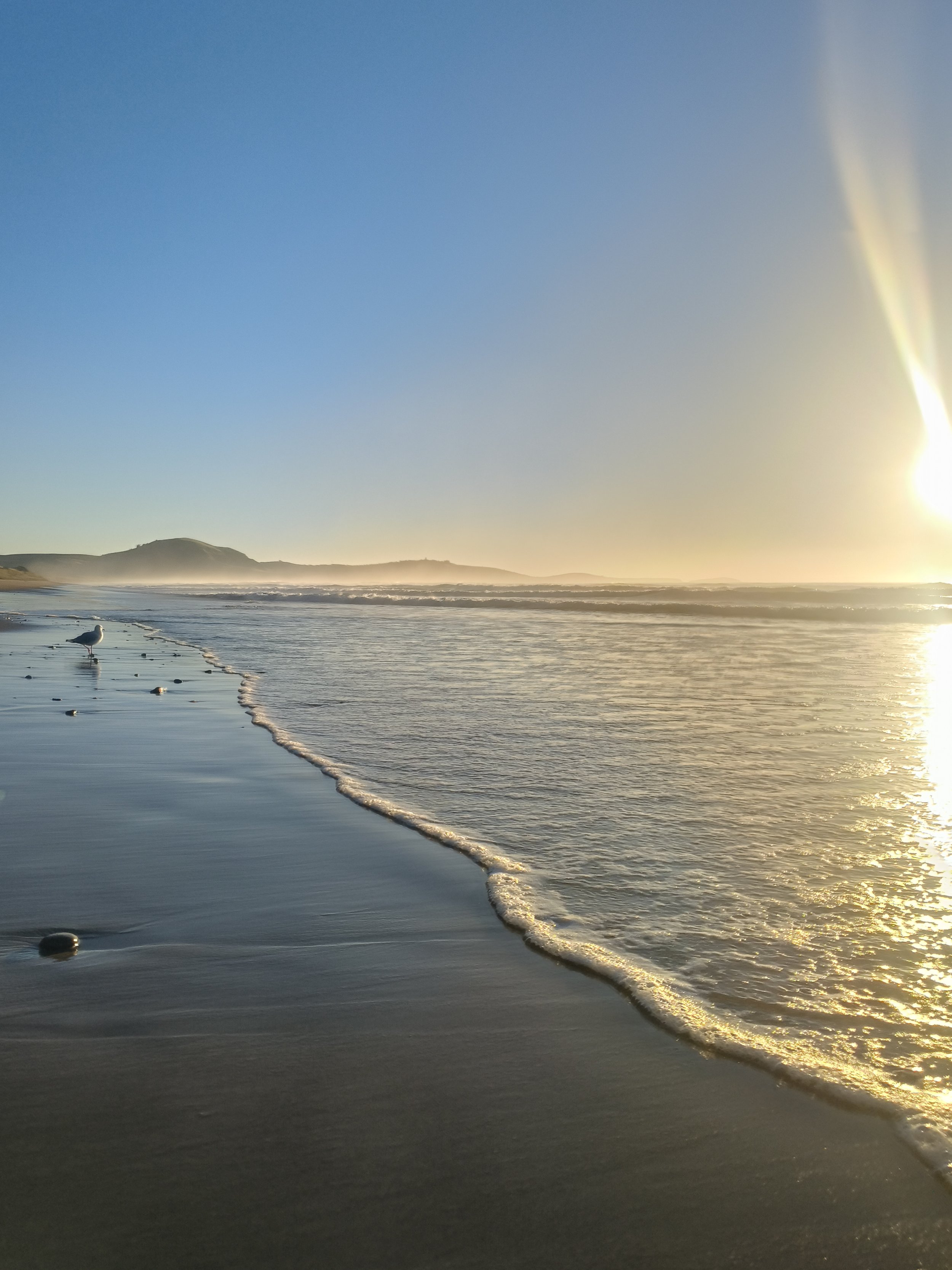 Filming in Aotearoa: Landscape, Story, and Responsibility
