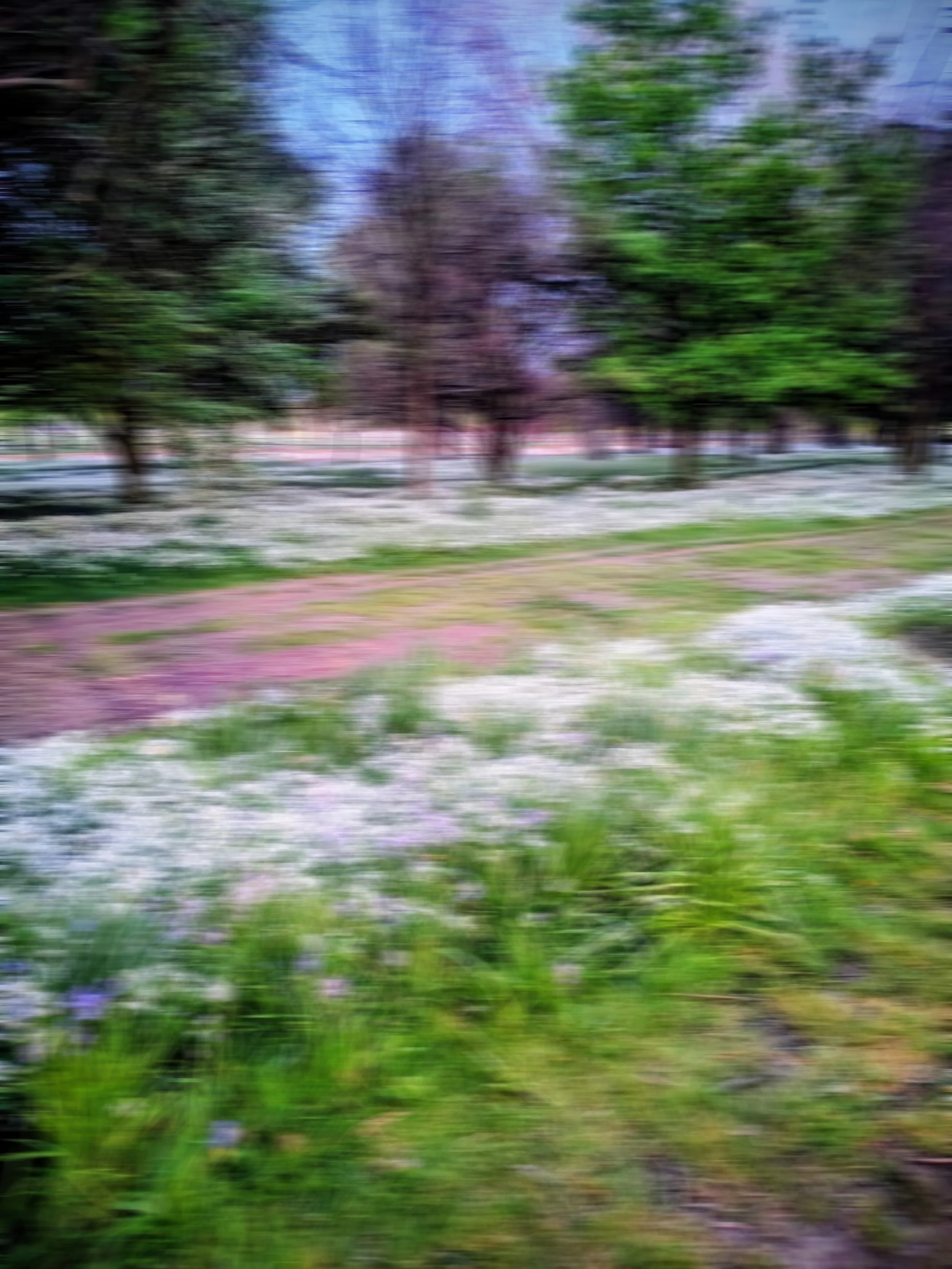 Nature, Grounding, and Returning to Self
