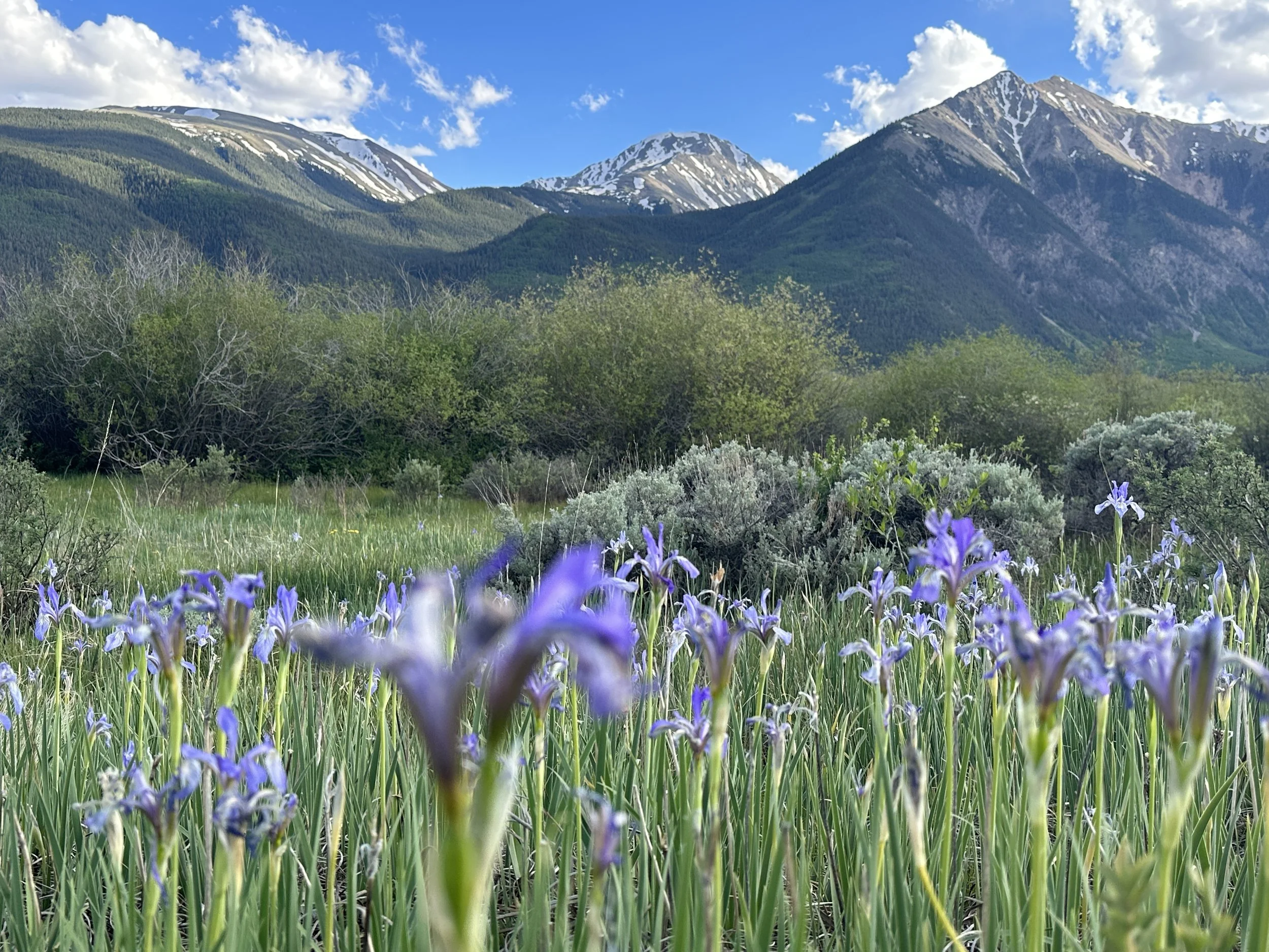 Spring in Twin Lakes