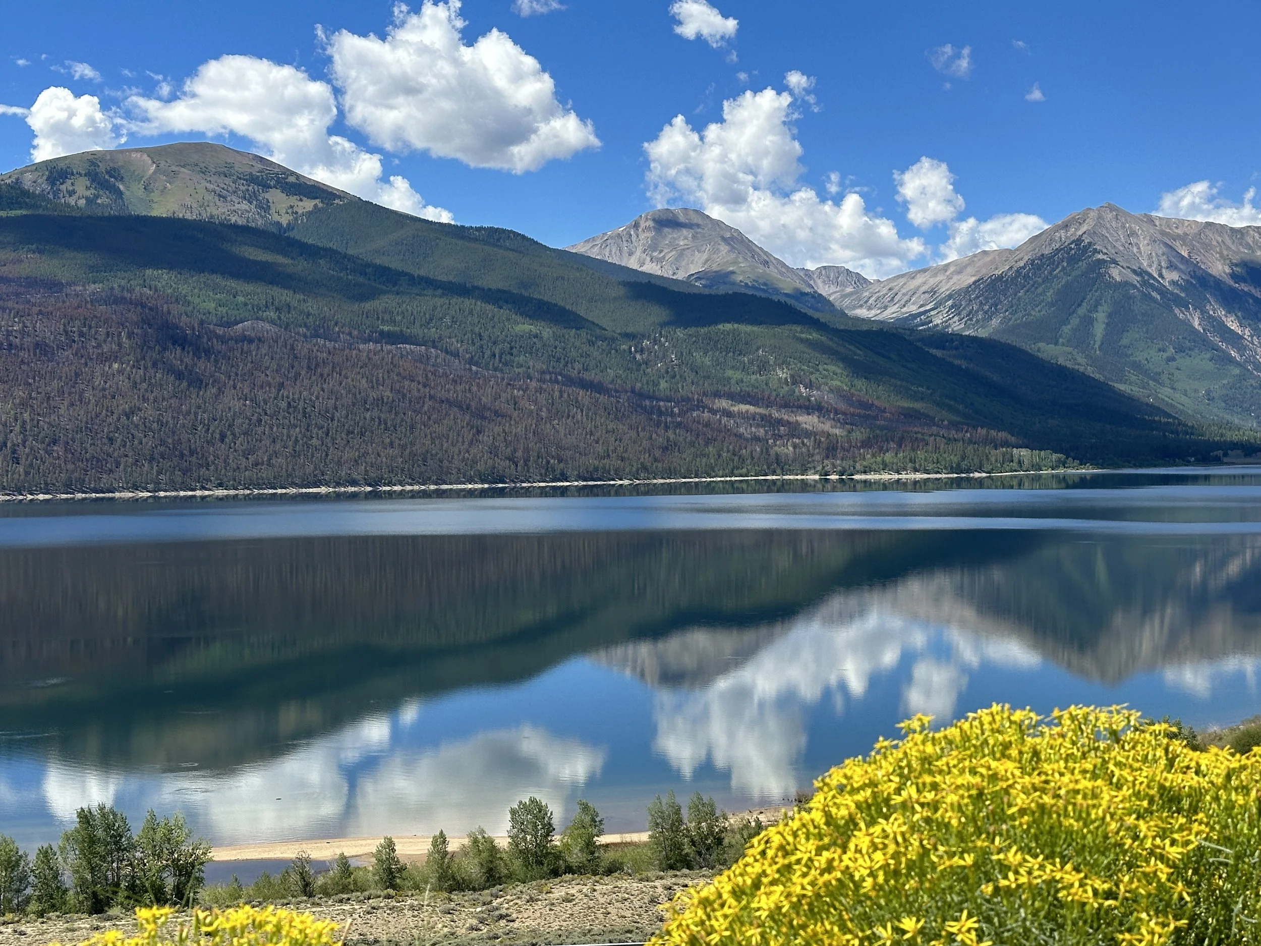 Mountains with forested slopes and a partly cloudy sky viewed across a body of water, with yellow flowers and lake in the foreground.