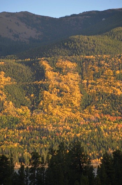 TwinLakes-PrayingAngel-Fall.jpg