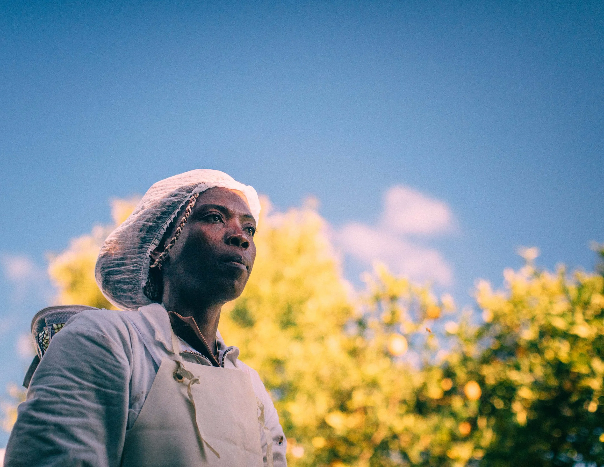 Hastings woman Bee keeper in soft afternoon light in garden low angle. Candid editorial photograph by Simon Shattky.
