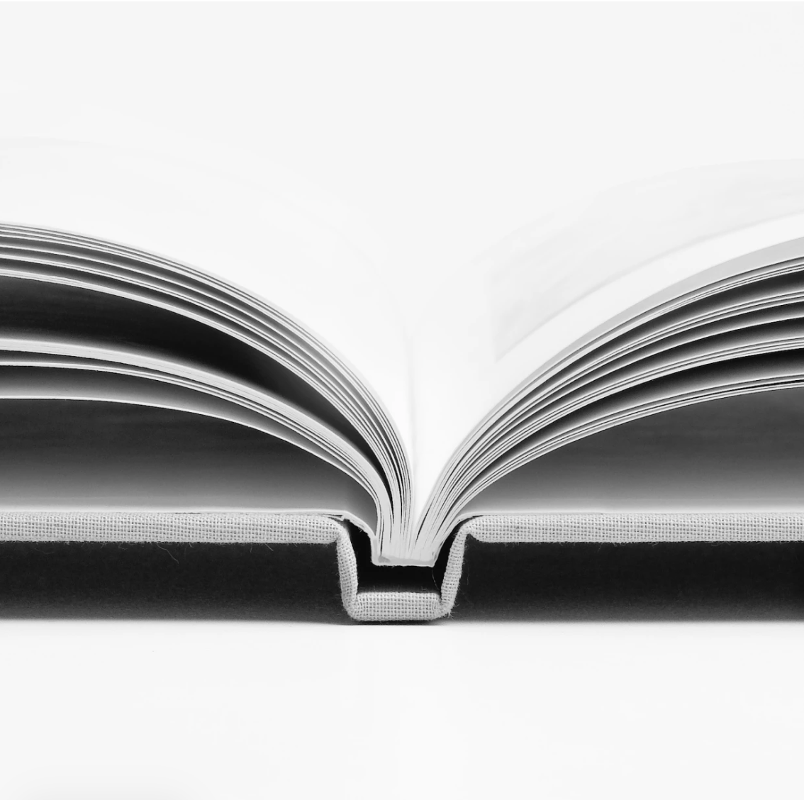 Screenshot 2026-04-16 at 8.02.31 AM.png