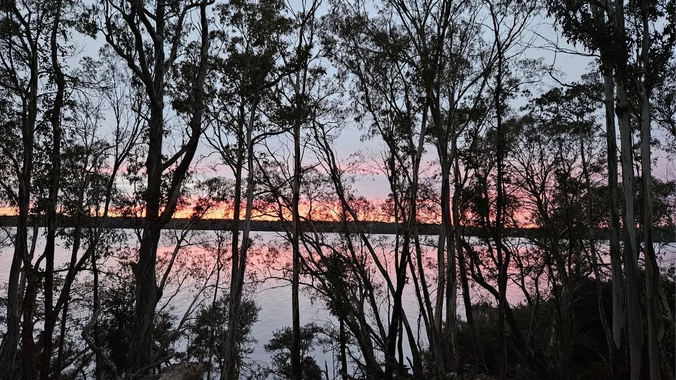 Untitled design (12).jpg