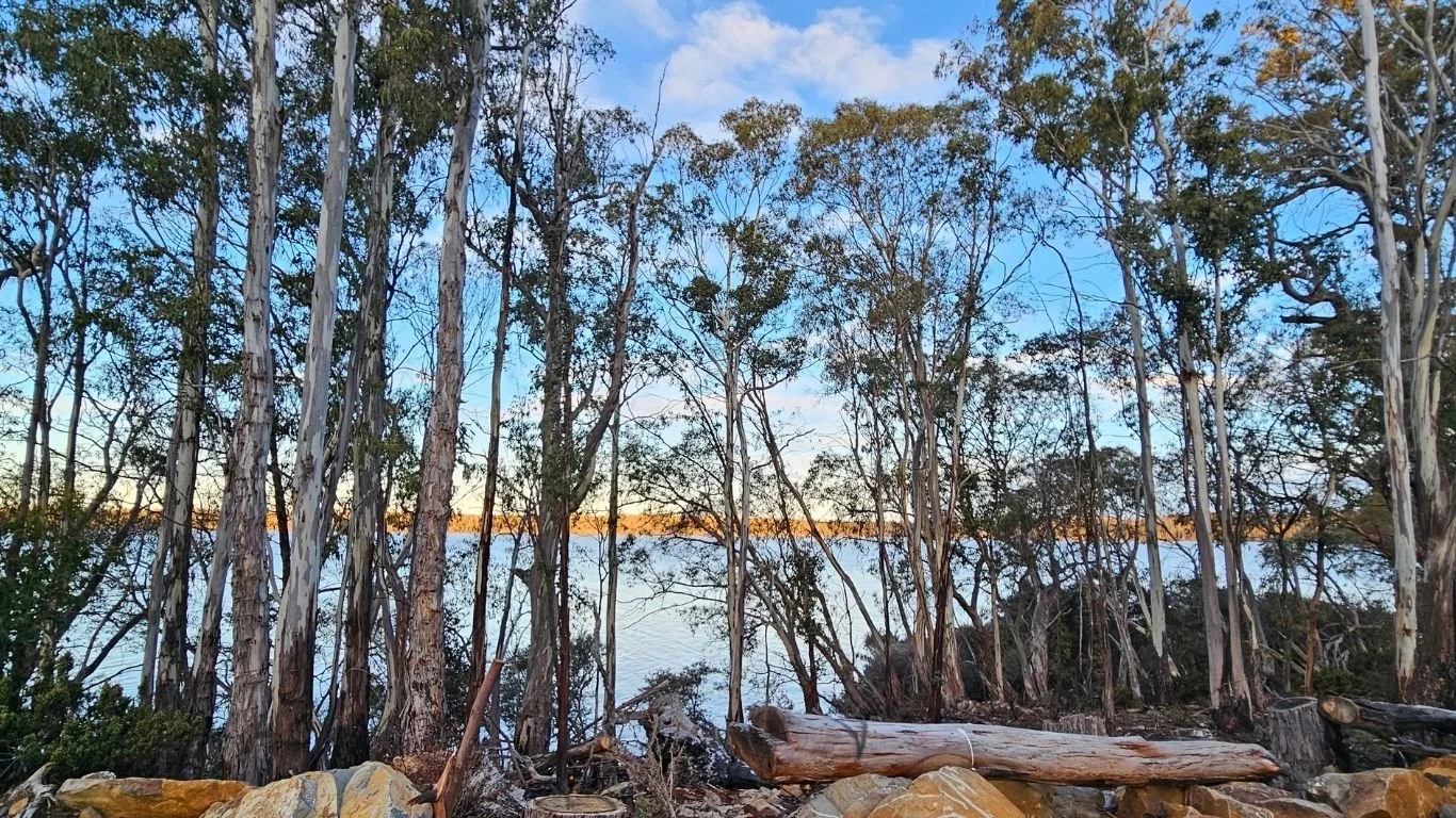 Untitled design (11).jpg