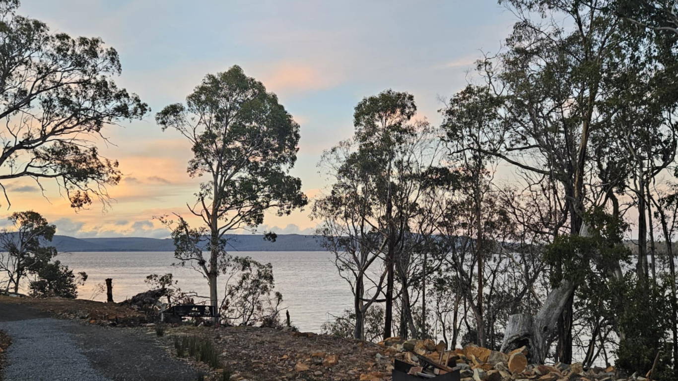 Untitled design (54).png