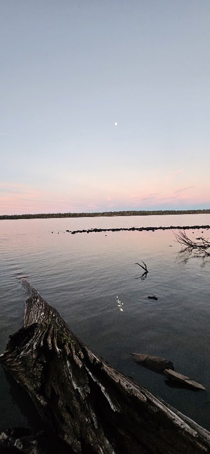 20260627_165511.jpg