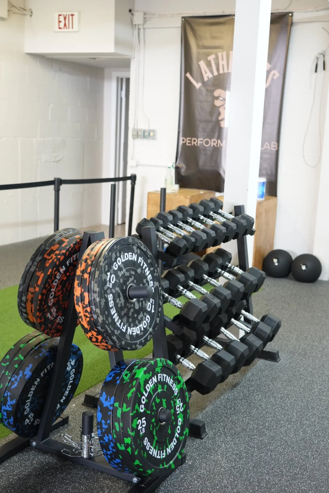 Fitness Equipment - dumbels and plates