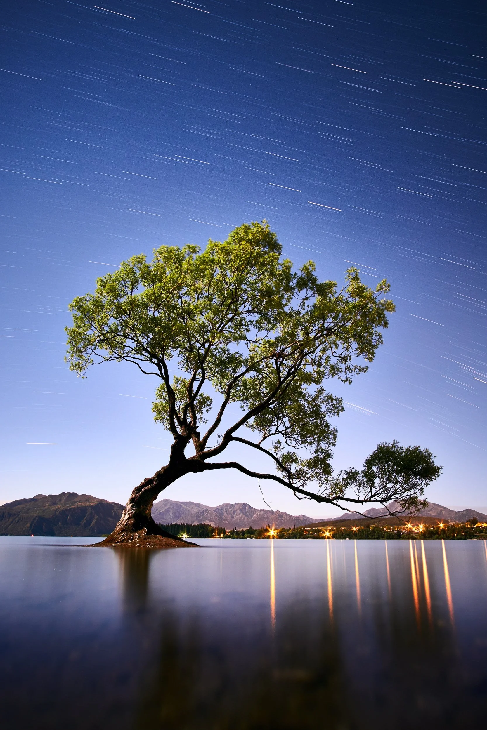 A solitary tree growing in a body of water under a starry night sky with mountain silhouettes in the background.