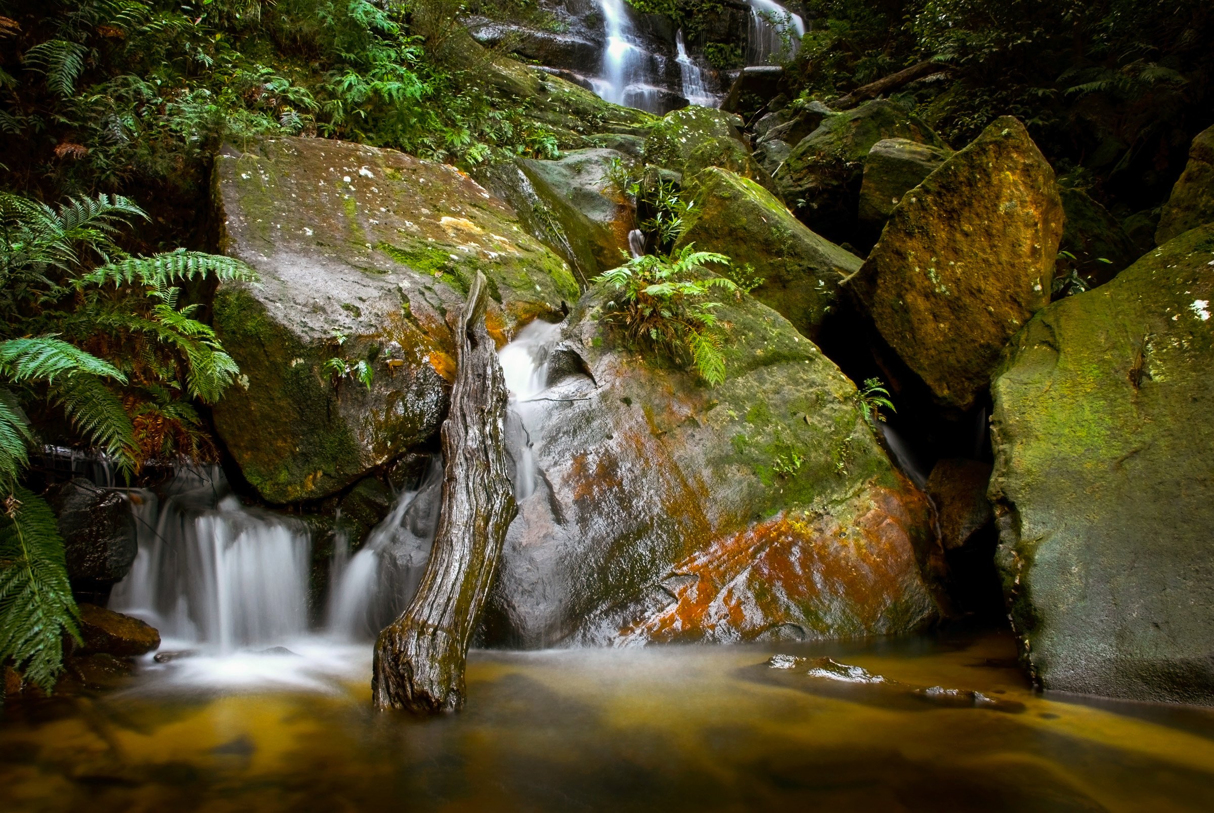 Small waterfall flowing over moss-covered rocks in a lush green forest.