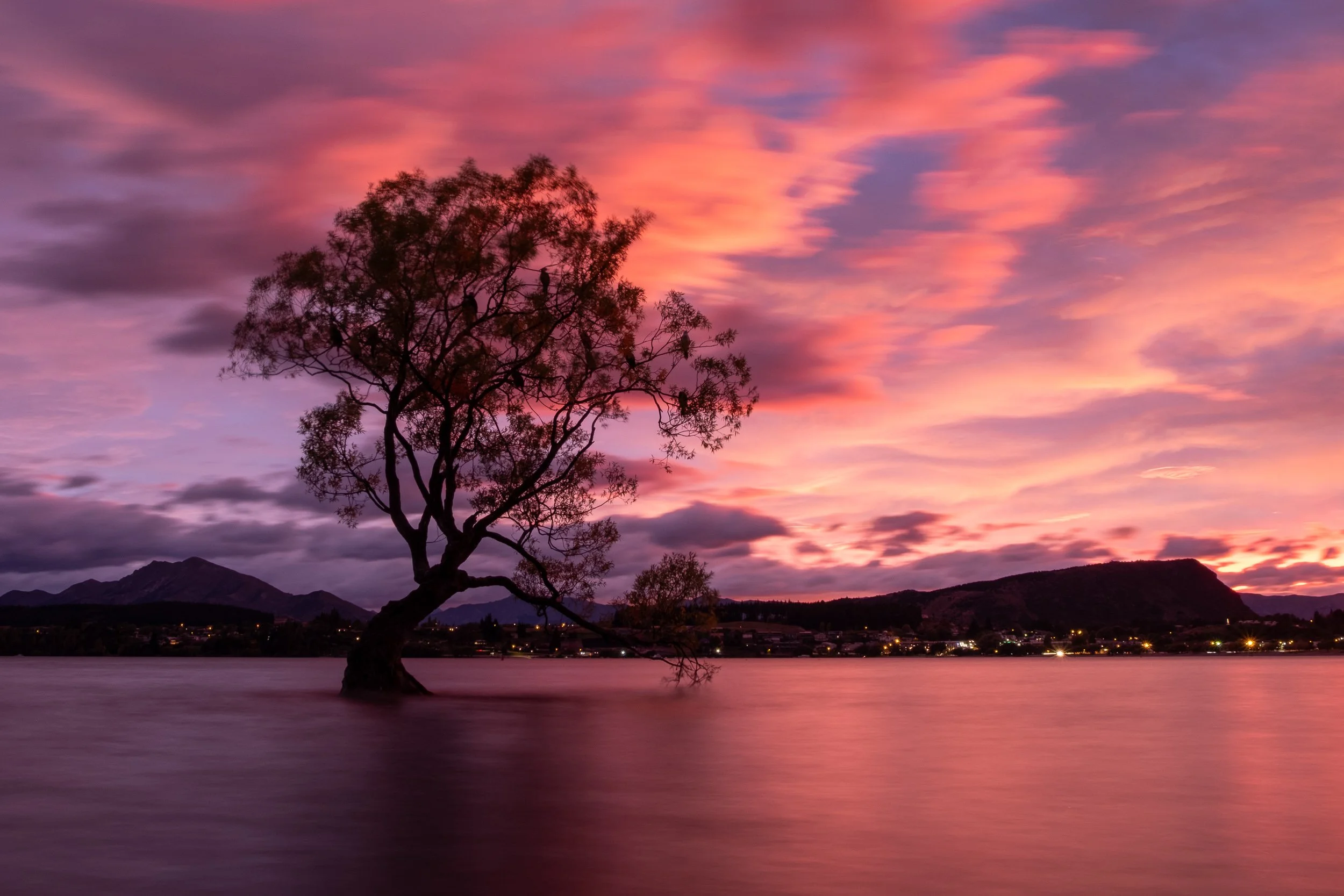A lone tree partially submerged in water at sunset, with a colorful pink and purple sky and distant mountains.