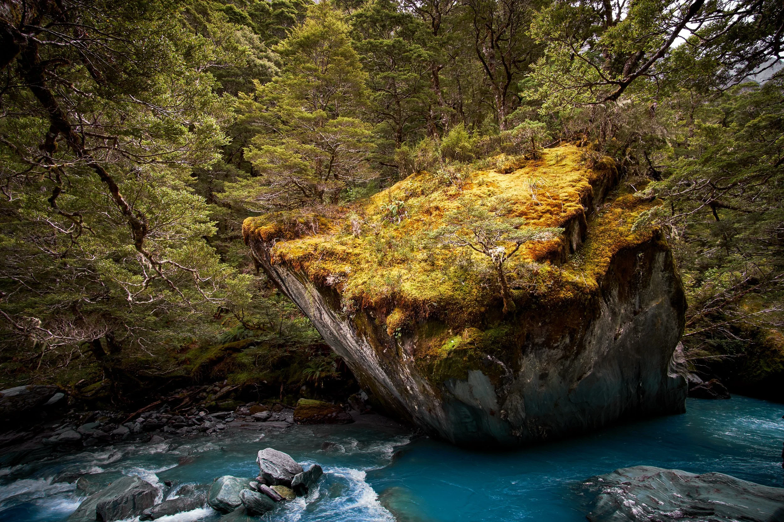 A large moss-covered rock in a river surrounded by dense green trees and foliage.