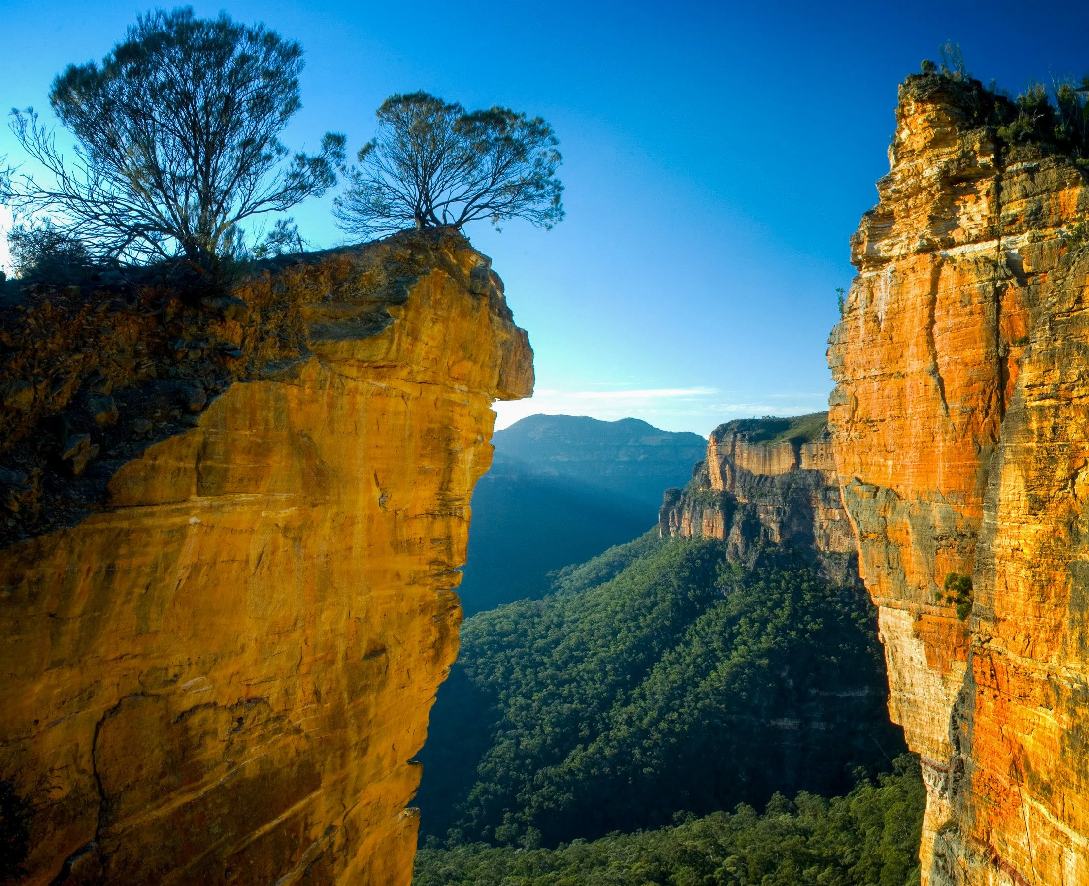 Rock formations with trees on top and a valley with green forest below, against a clear blue sky.
