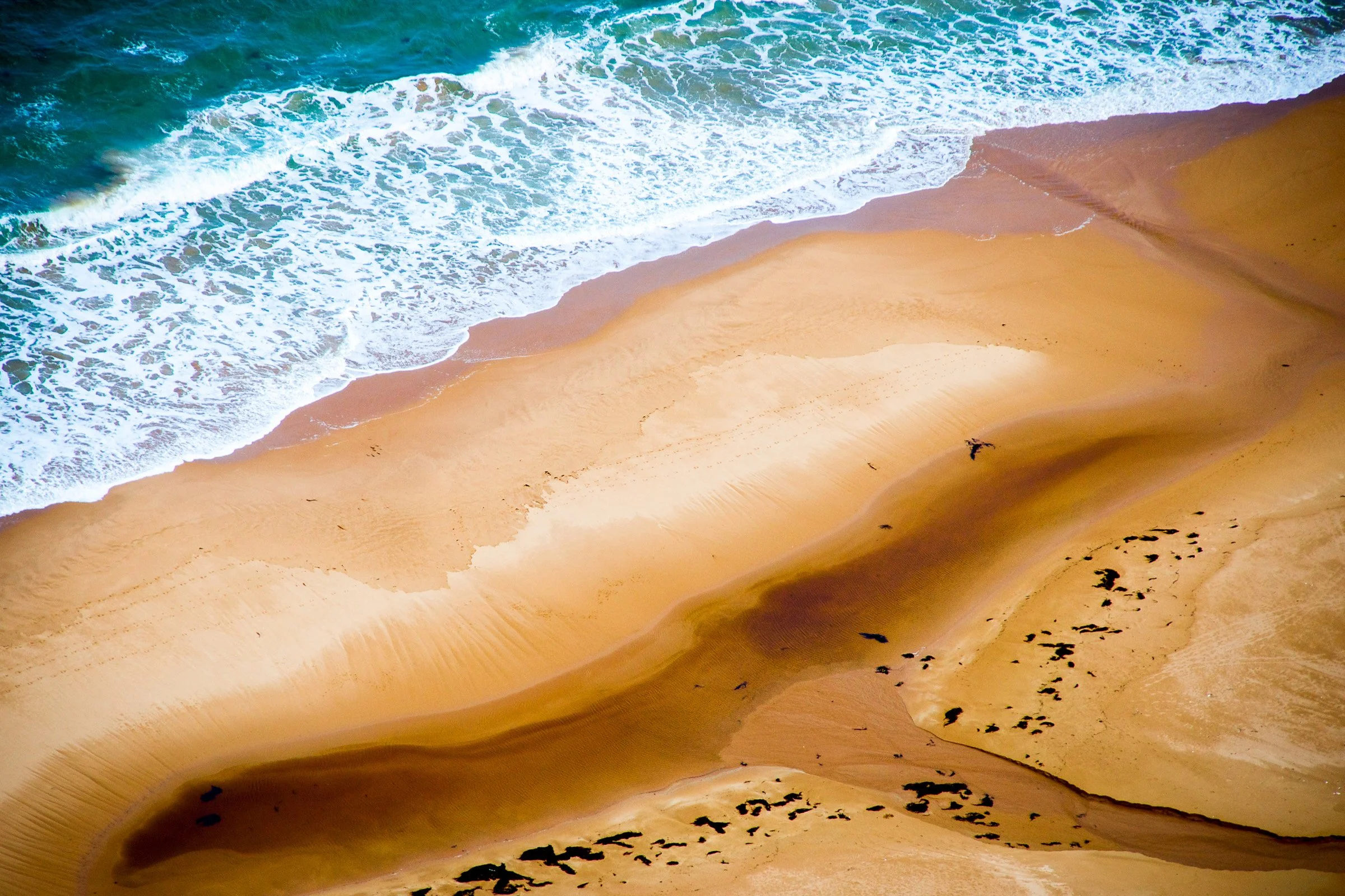 View of sandy beach with ocean waves crashing and sand dunes with black bird footprints.