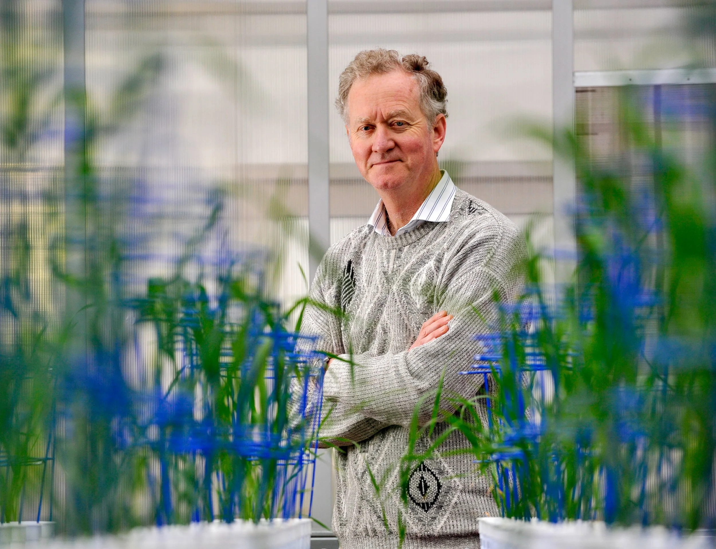 A middle-aged man with gray hair and a sweater stands in a greenhouse among green plants with purple flowers, crossing his arms and looking at the camera.