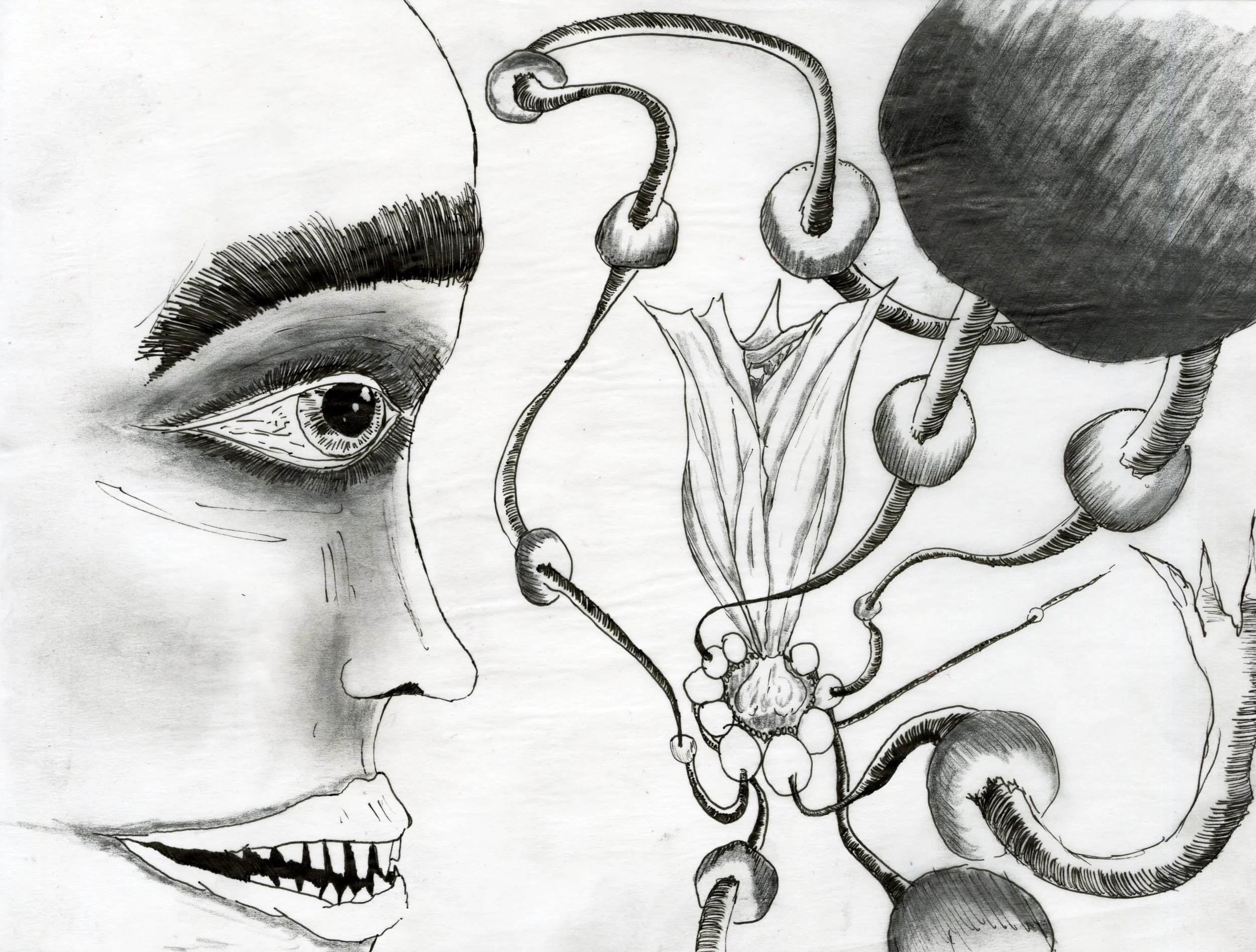 head cold, 9x11in, ink, 2026