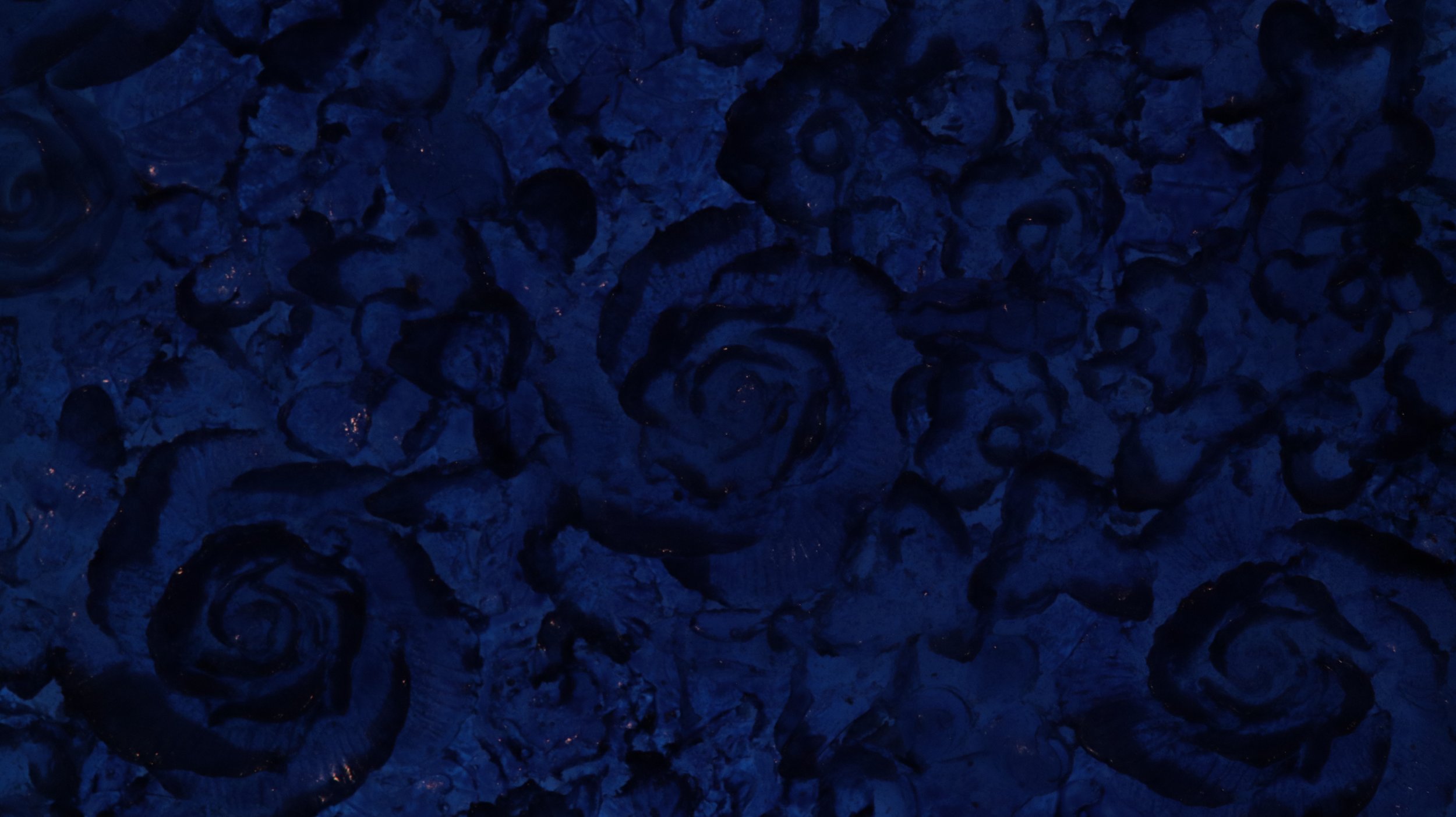 1000077970.jpg