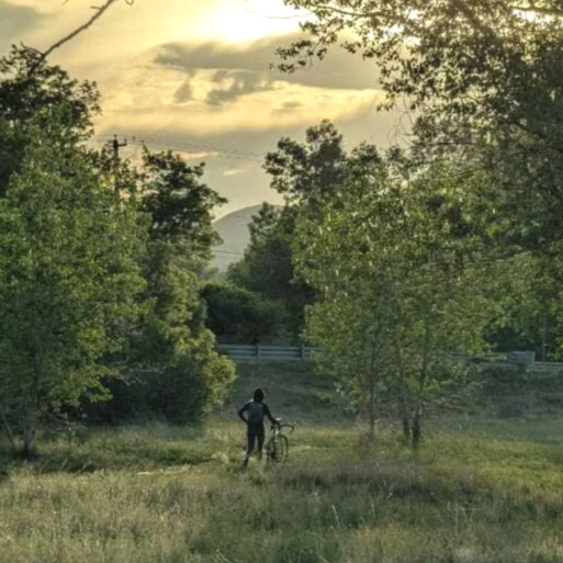 A person standing with a bicycle in a grassy field surrounded by trees during sunset.