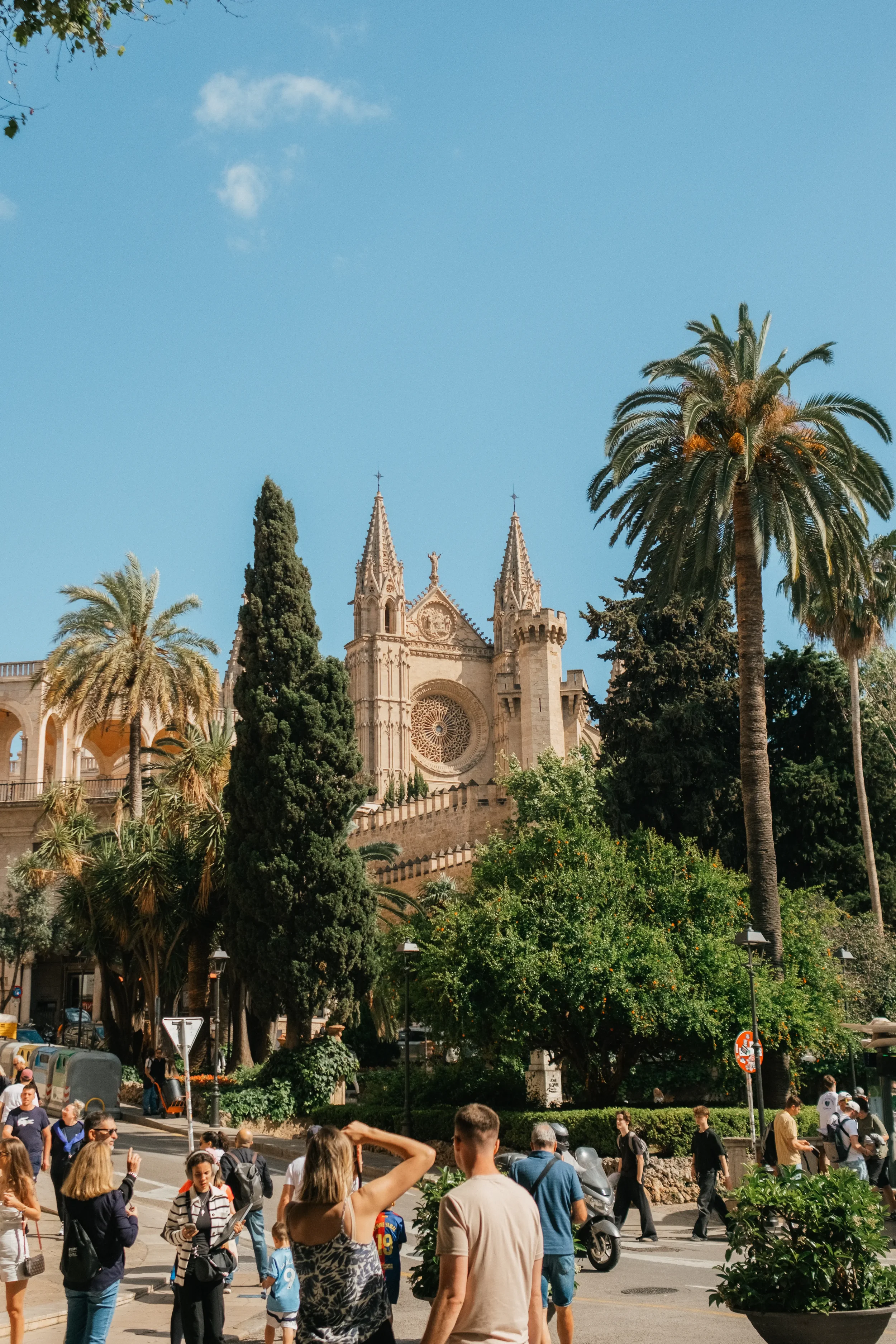 A busy city street with people walking, palm trees, and a historic Gothic-style church with two spires in the background.