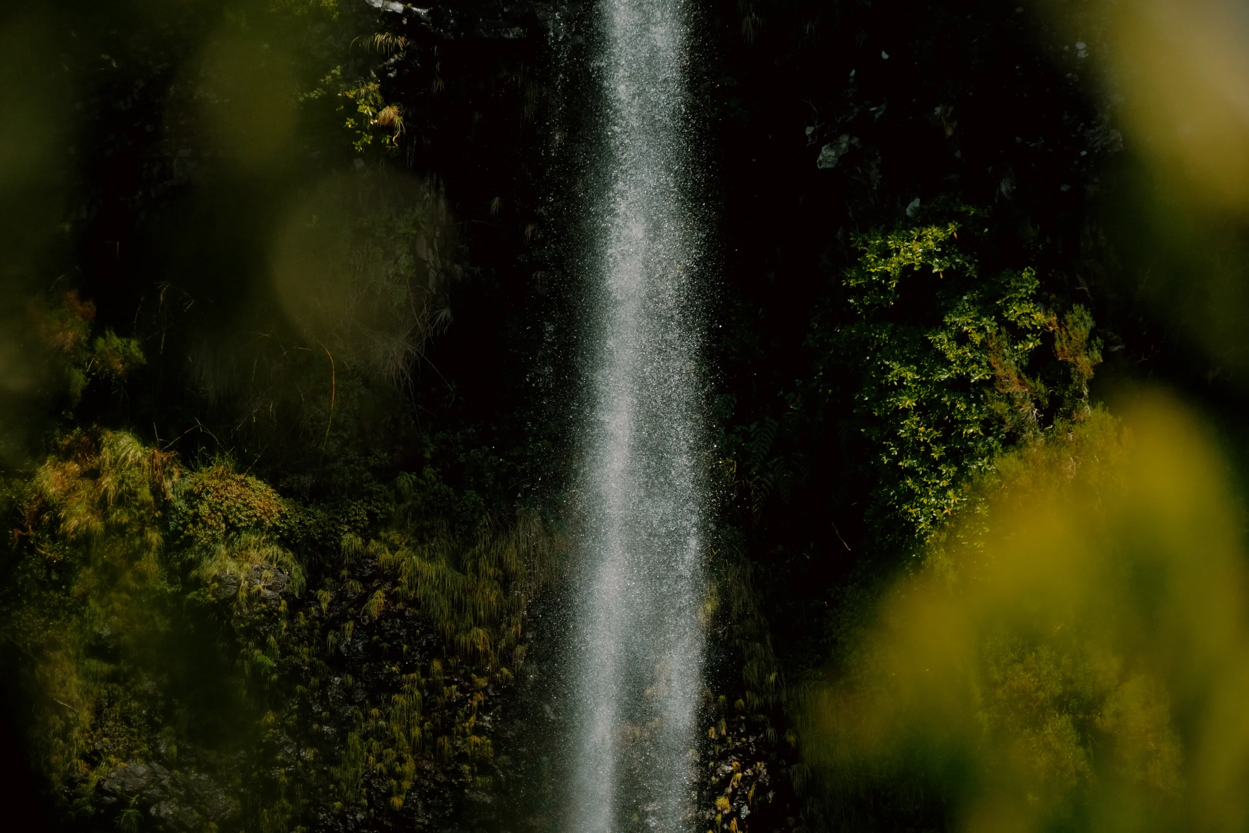 A waterfall flowing down through lush green foliage and rocks in a forest.
