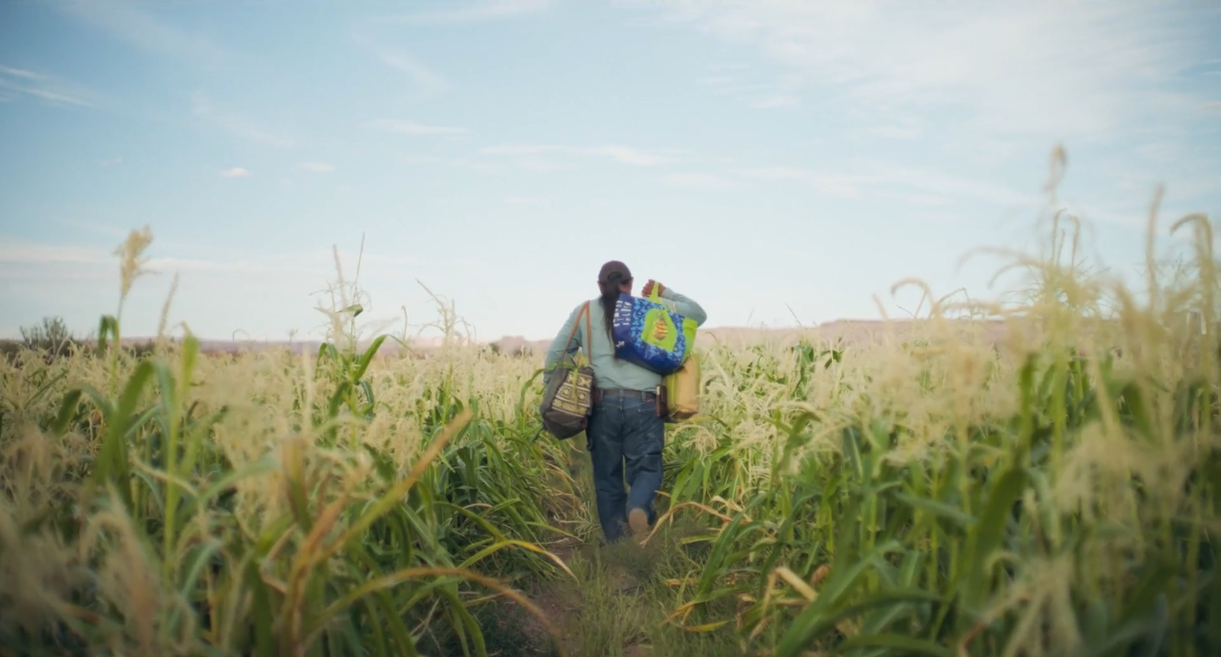 What Colorado River basin water loss is doing to indigenous communities