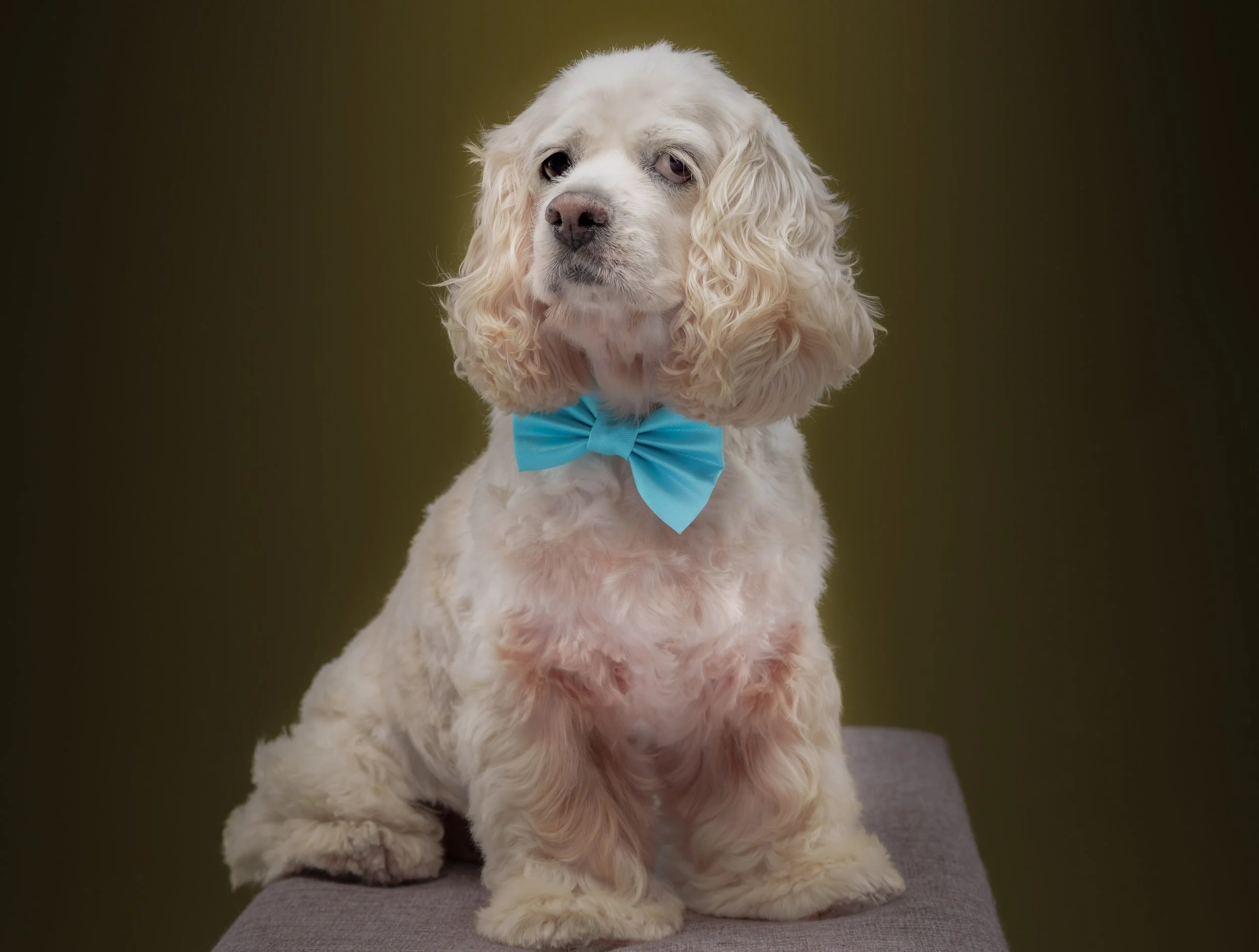 SAMMY-223-Edit.jpg
