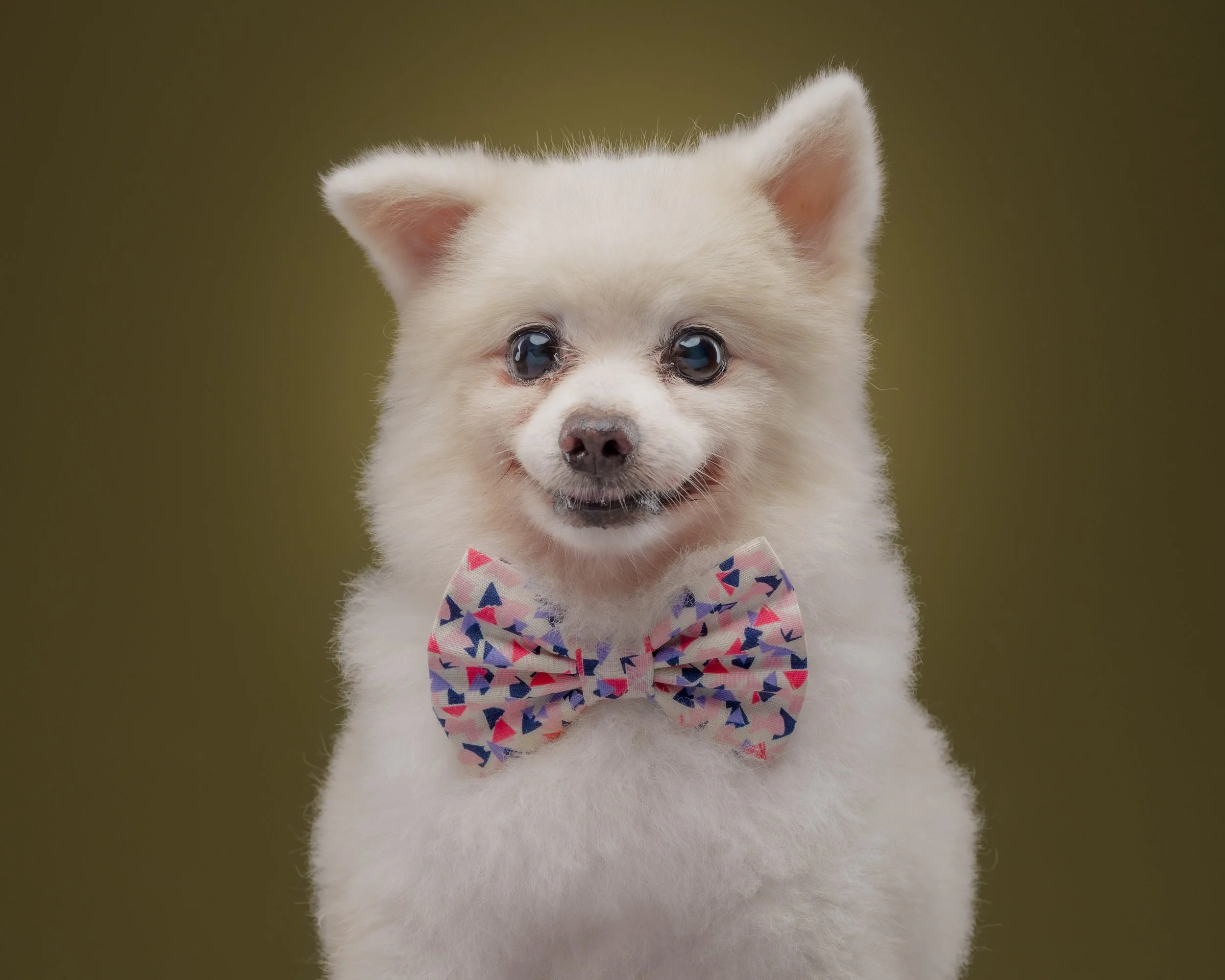 SAMMY-157-Edit.jpg