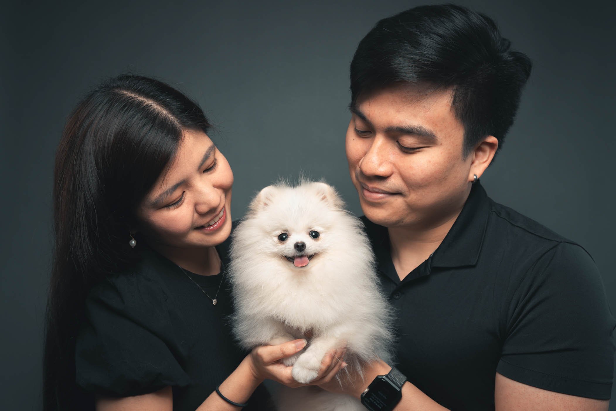 Pomeranian-photoshoot-pet portrait.jpg