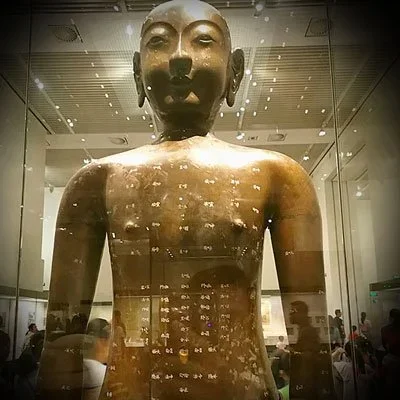 Acupuntura, auriculoterapia, florais.Conheça alguns dos benefícios destas terapias milenares integradas