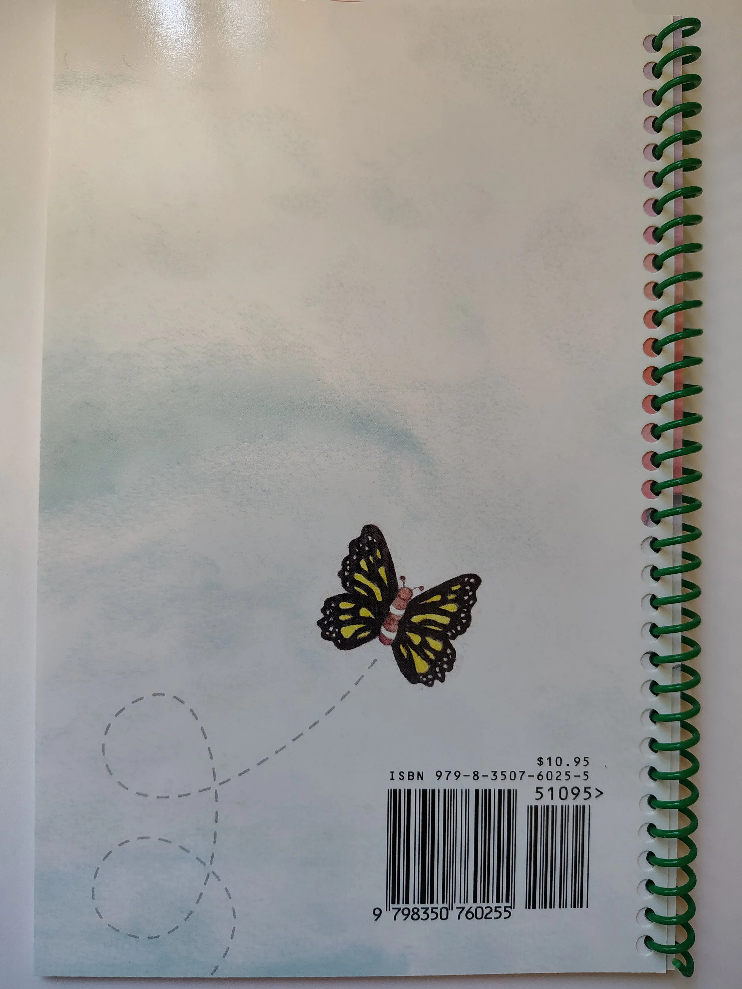Back Cover.jpg