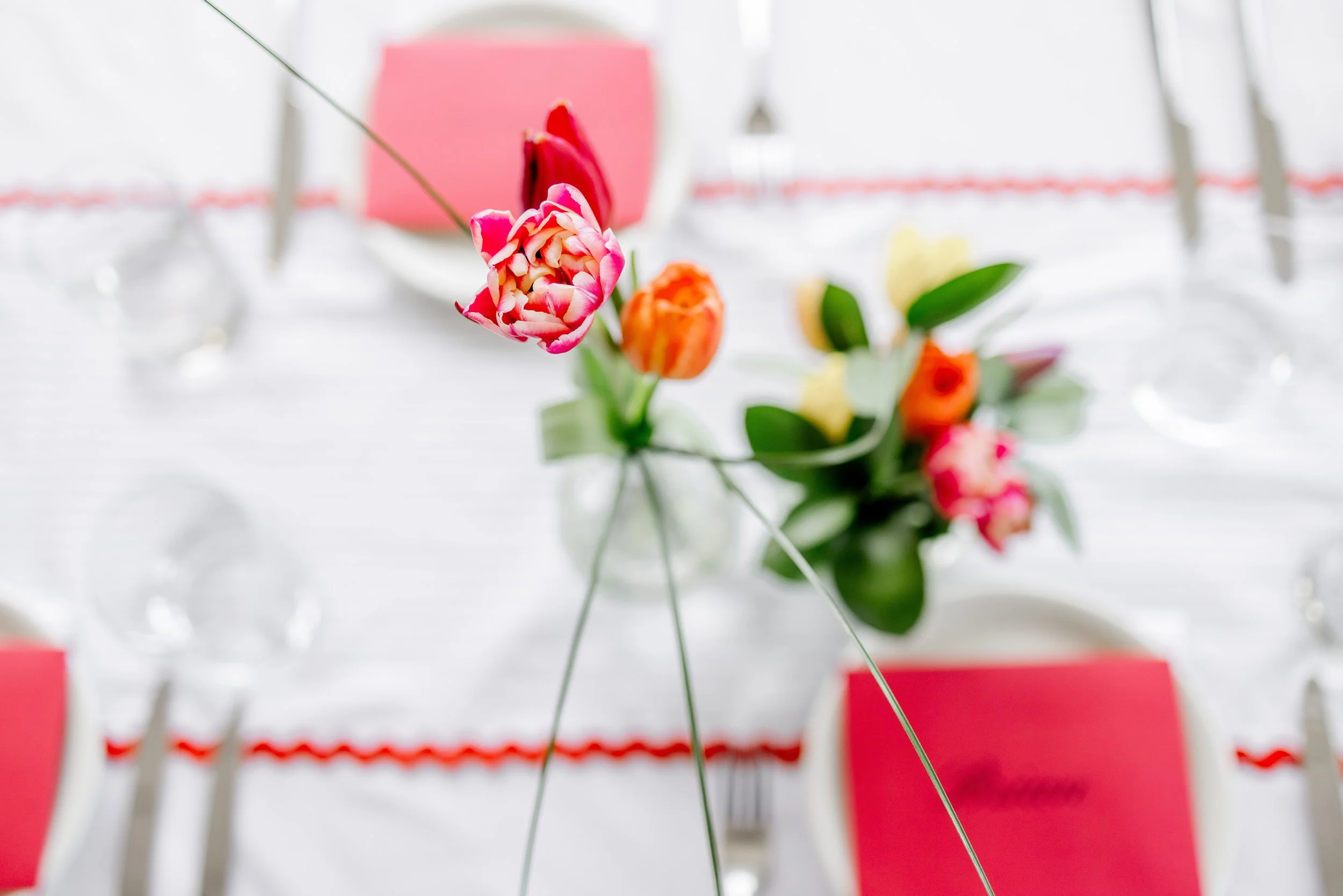 Close-up of a pink and white tulip flower in a vase on a white table, with blurred colorful flowers in the background.