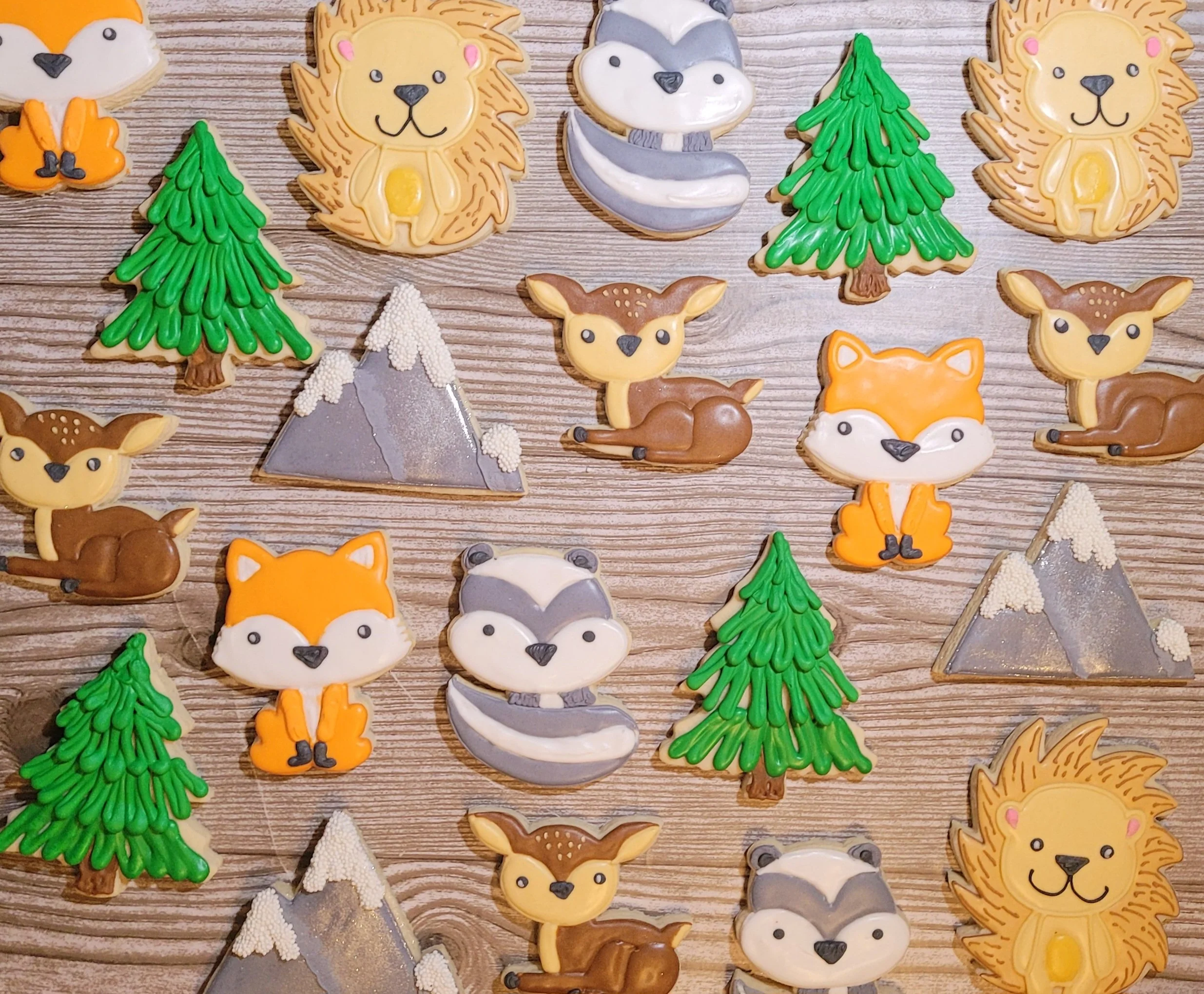 20230921_062200 - Copy.jpg