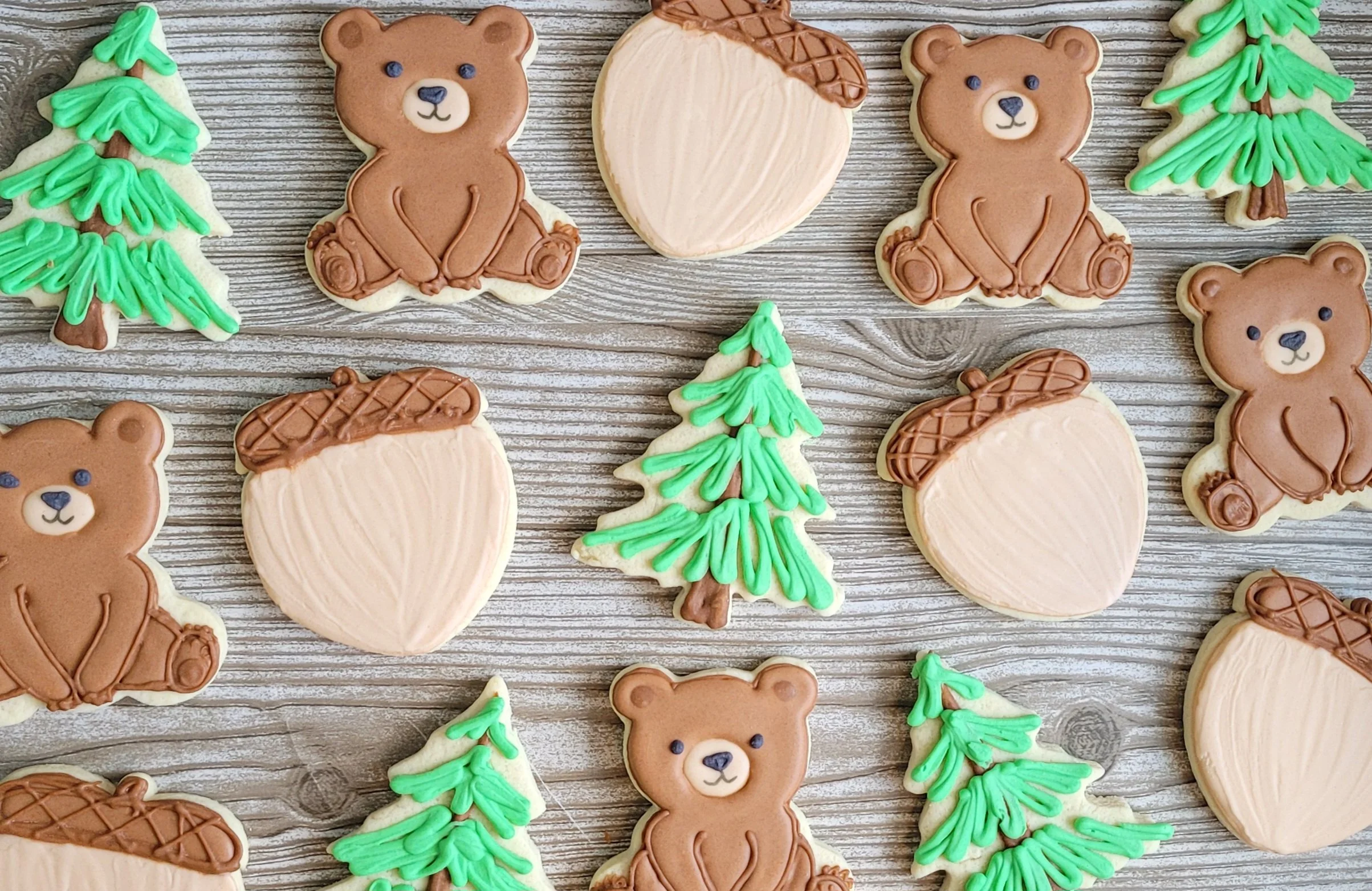 20230508_115610 - Copy.jpg