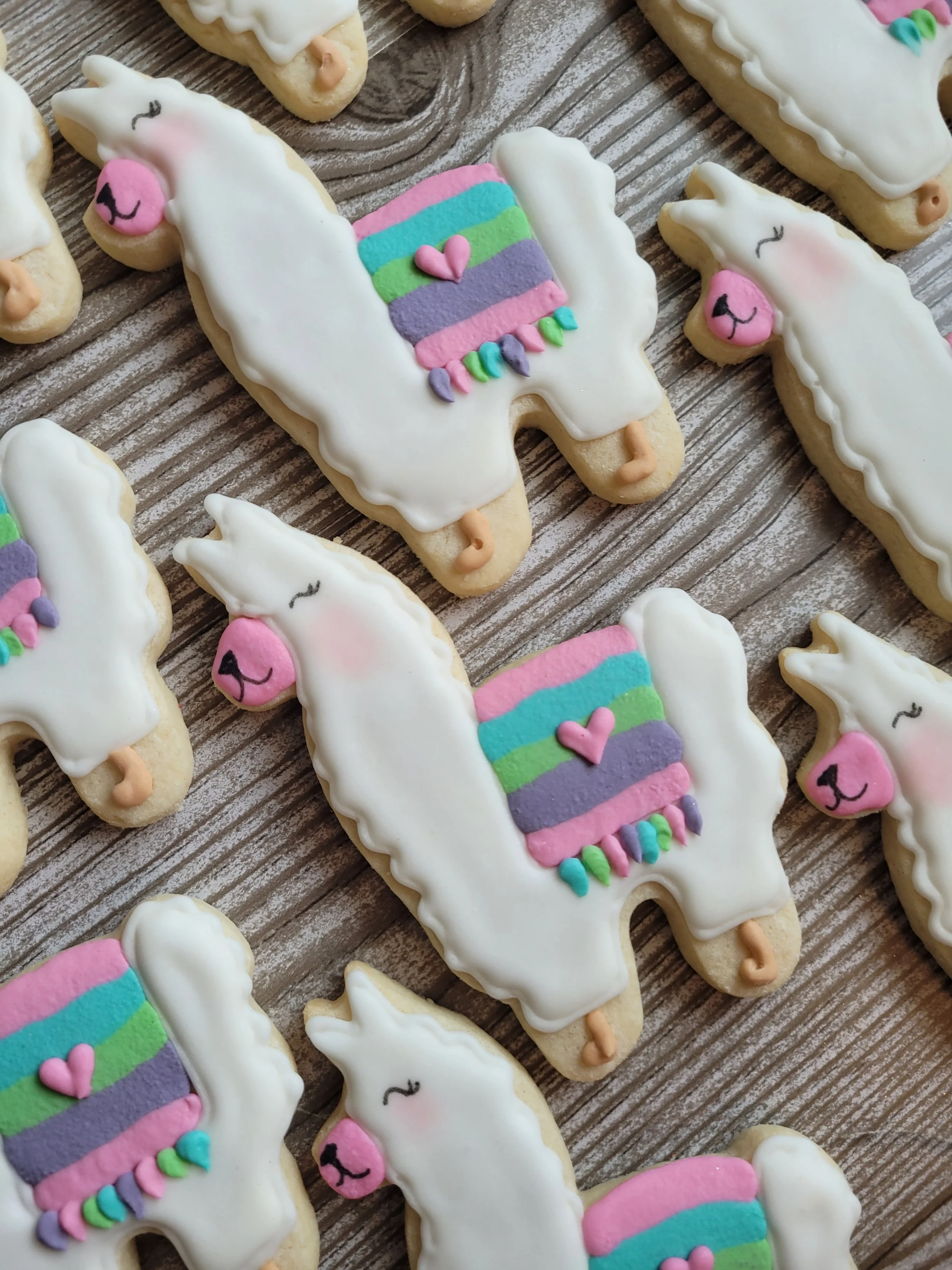 20220925_123600 - Copy.jpg