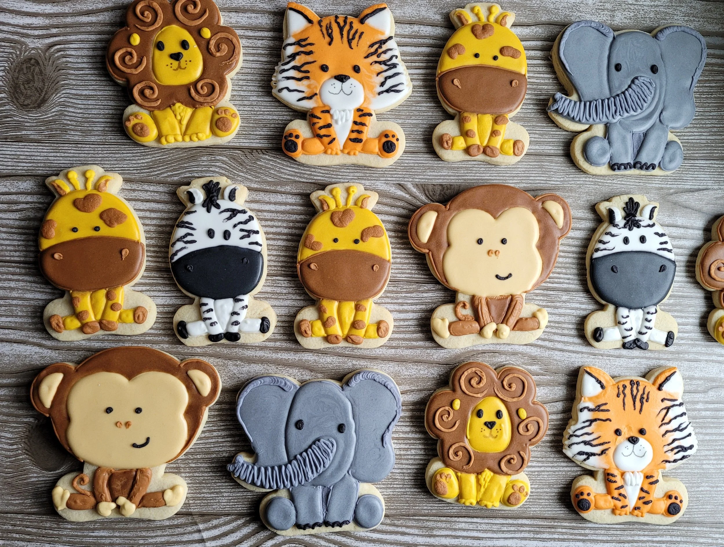 20221023_132347 - Copy.jpg