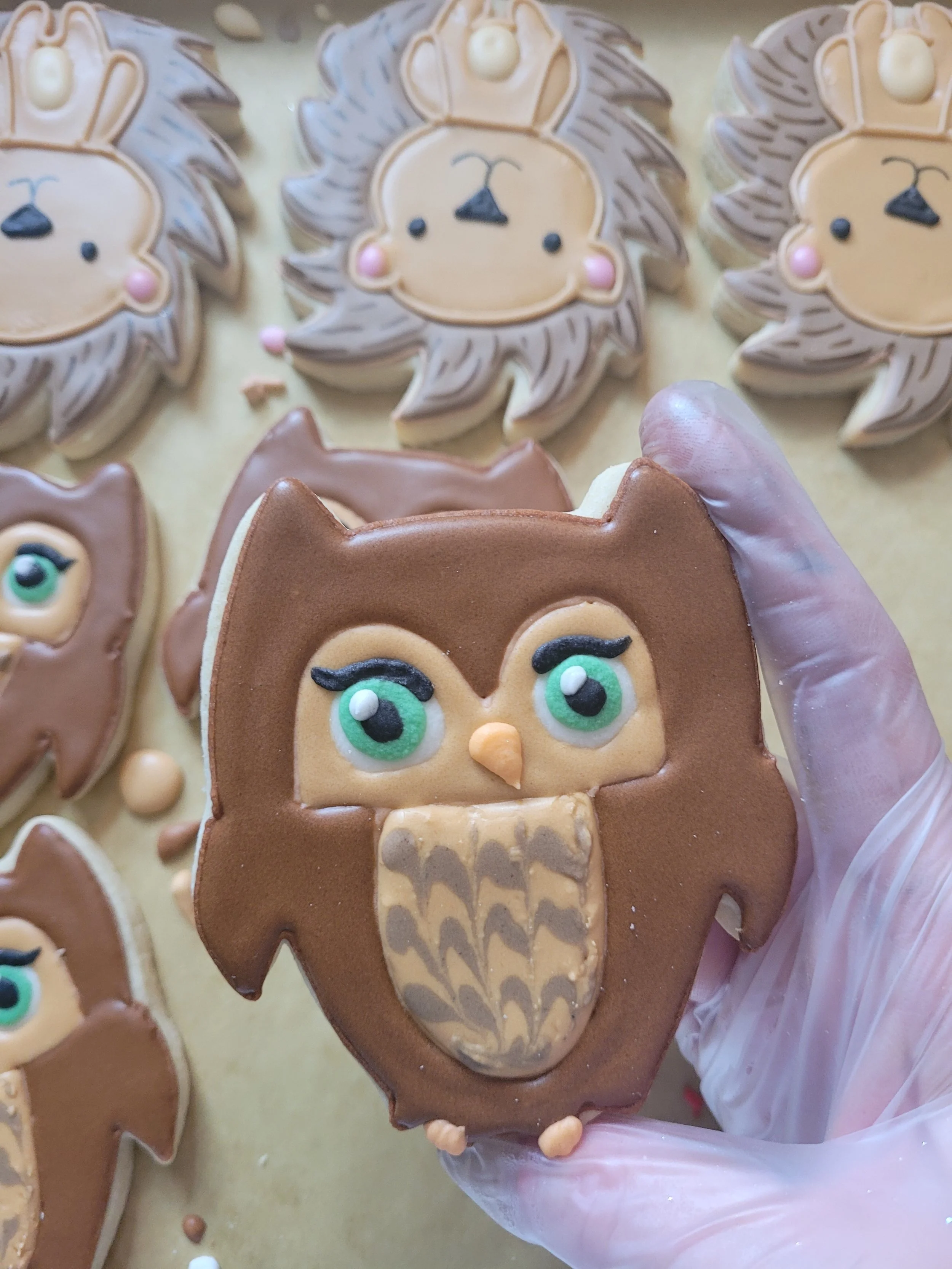 20230130_111656 - Copy.jpg