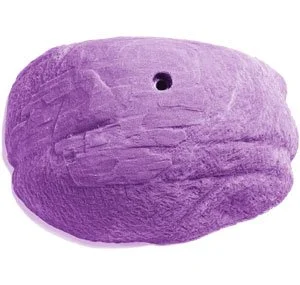 tys-big-one.jpg