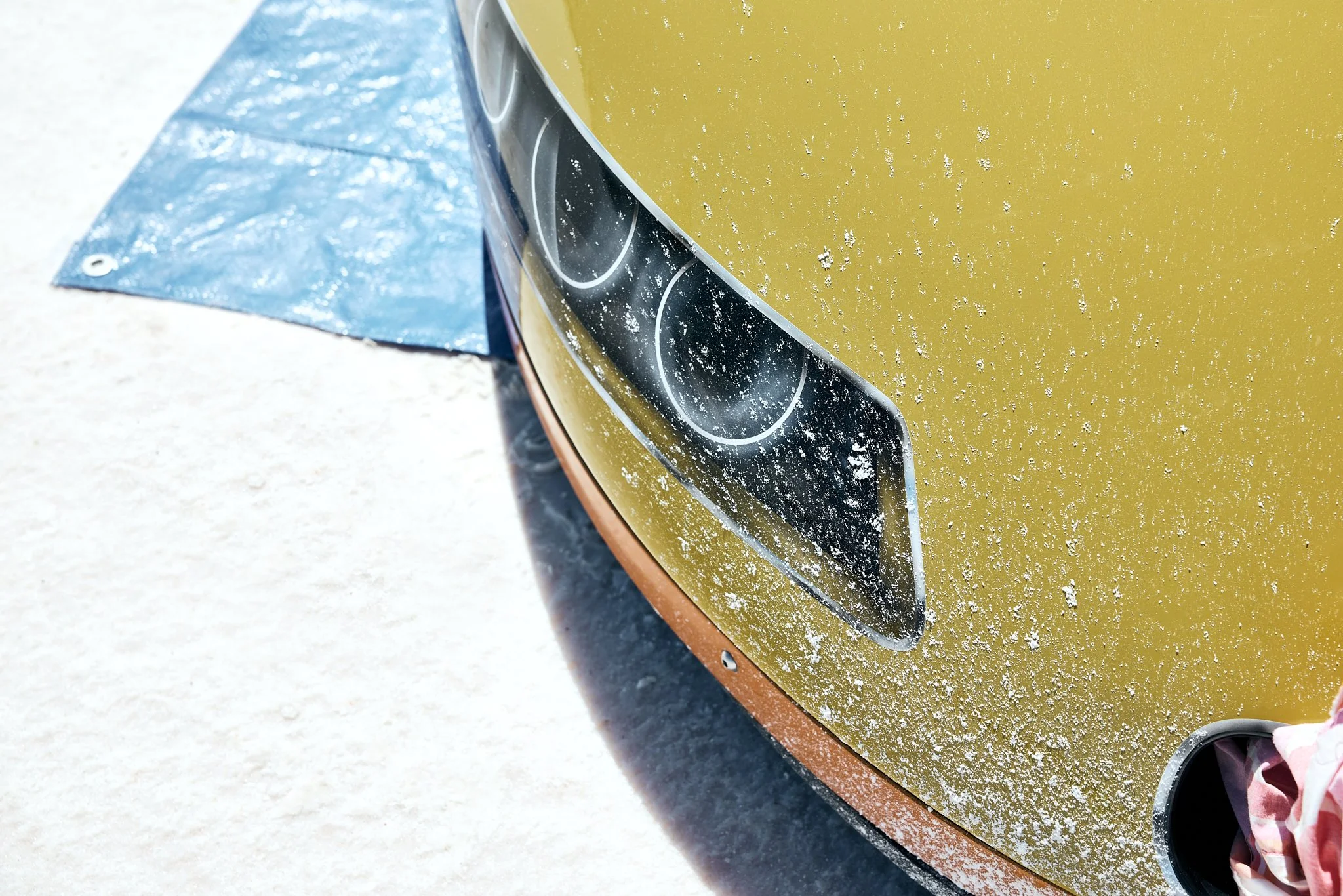 Speedweek 2025_Ari Gelgec_3.jpg